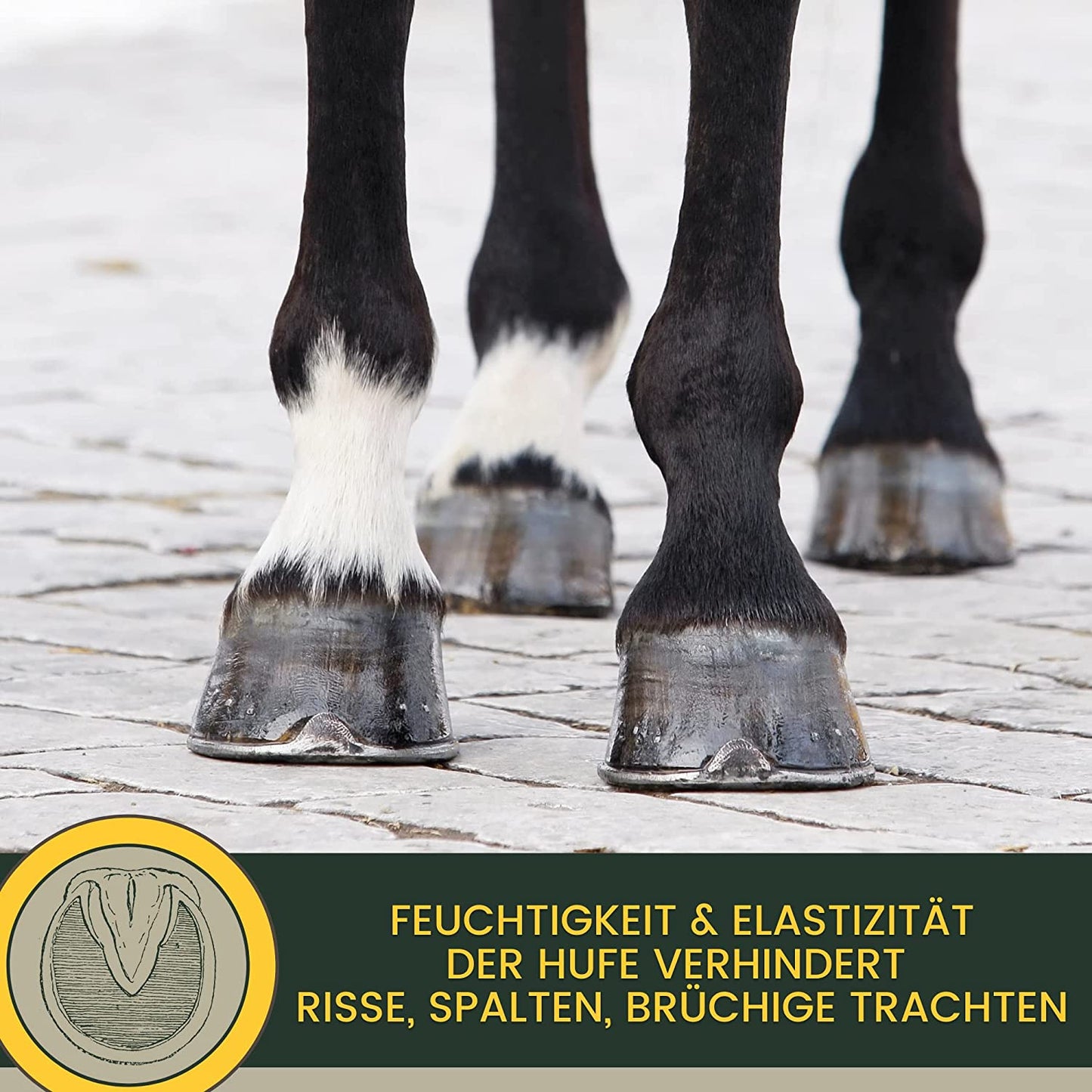 EMMA hoof balm 23 Huffett Pferde I Hufsalbe für Pferde I Hufbalsam I Erhalt gesunde Starke Hufe Pferd I Huffestiger I Hufsalbe gegen rissige trockene Hufe I Hufpflege für Pferde & Pferde Zubehör für Hufwachstum2.jpg