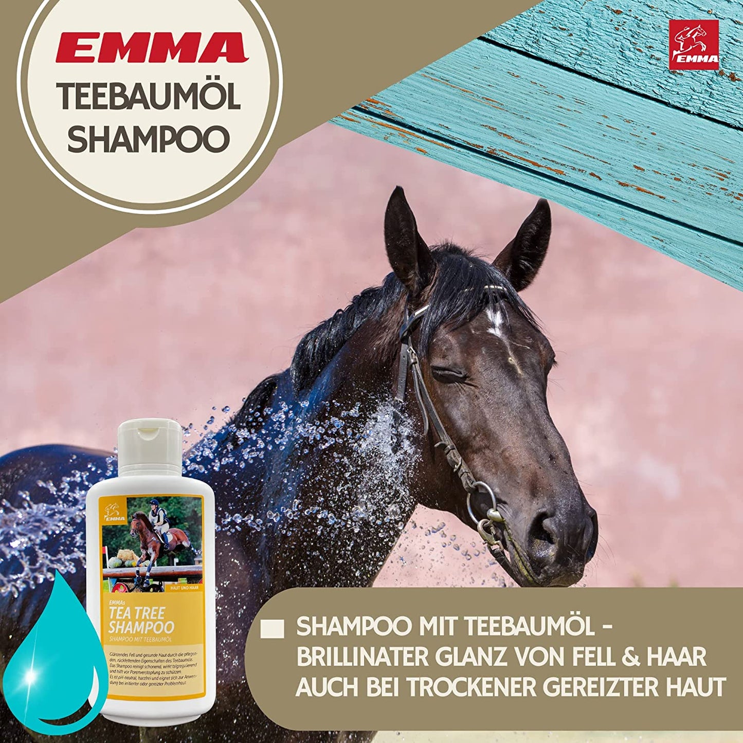 EMMA Hunde 3 Tea Tree Shampoo Pferdeshampoo mit Teebaumöl für Hunde Pferde 500ml I mildes Pferde Shampoo ph neutral I Pferdepflege glänzendes Fell I Hundeshampoo I für trockene & irritierte Haut I Fellpflege4.jpg