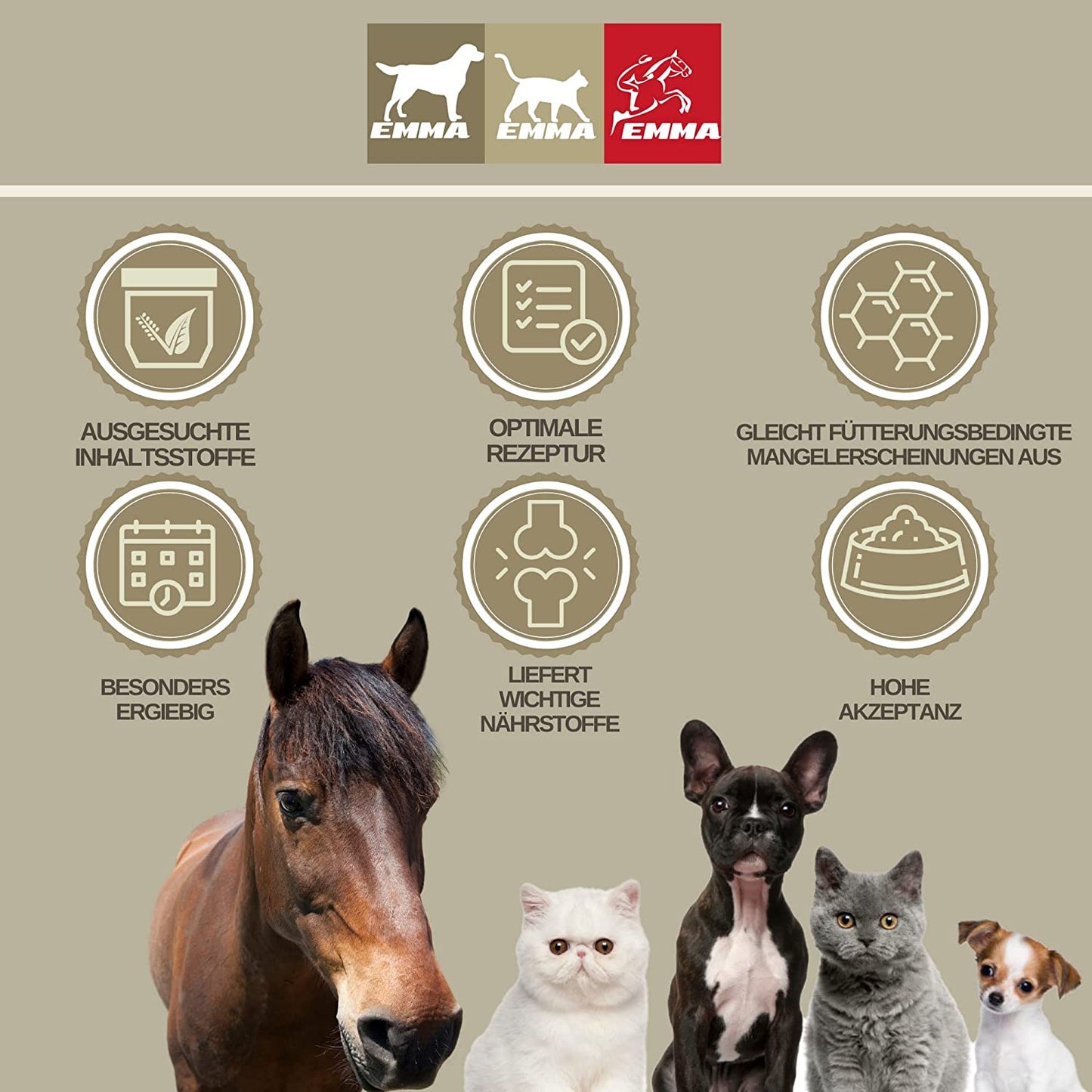 Barf Öl für Katzen & Hunde - Omega 3 & 6 Barföl aus- Leinöl Distelöl Wallnussöl I Futteröl + Vitamin E I Futter Barf Zusatz reich an Omega 3 Omega 6 Fettsäuren ohne Zusätze I Fell Haut Energie 0,25l5.jpg