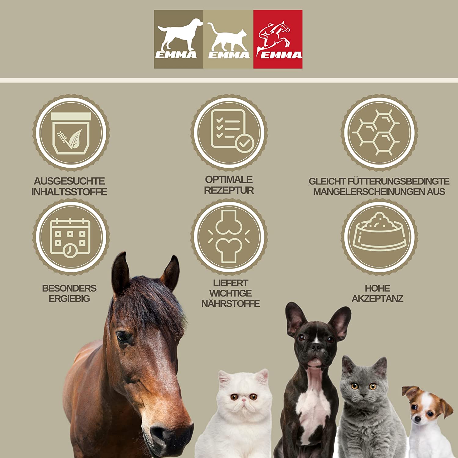 Barf Öl für Katzen & Hunde - Omega 3 & 6 Barföl aus- Leinöl Distelöl Wallnussöl I Futteröl + Vitamin E I Futter Barf Zusatz reich an Omega 3 Omega 6 Fettsäuren ohne Zusätze I Fell Haut Energie 0,25l5.jpg