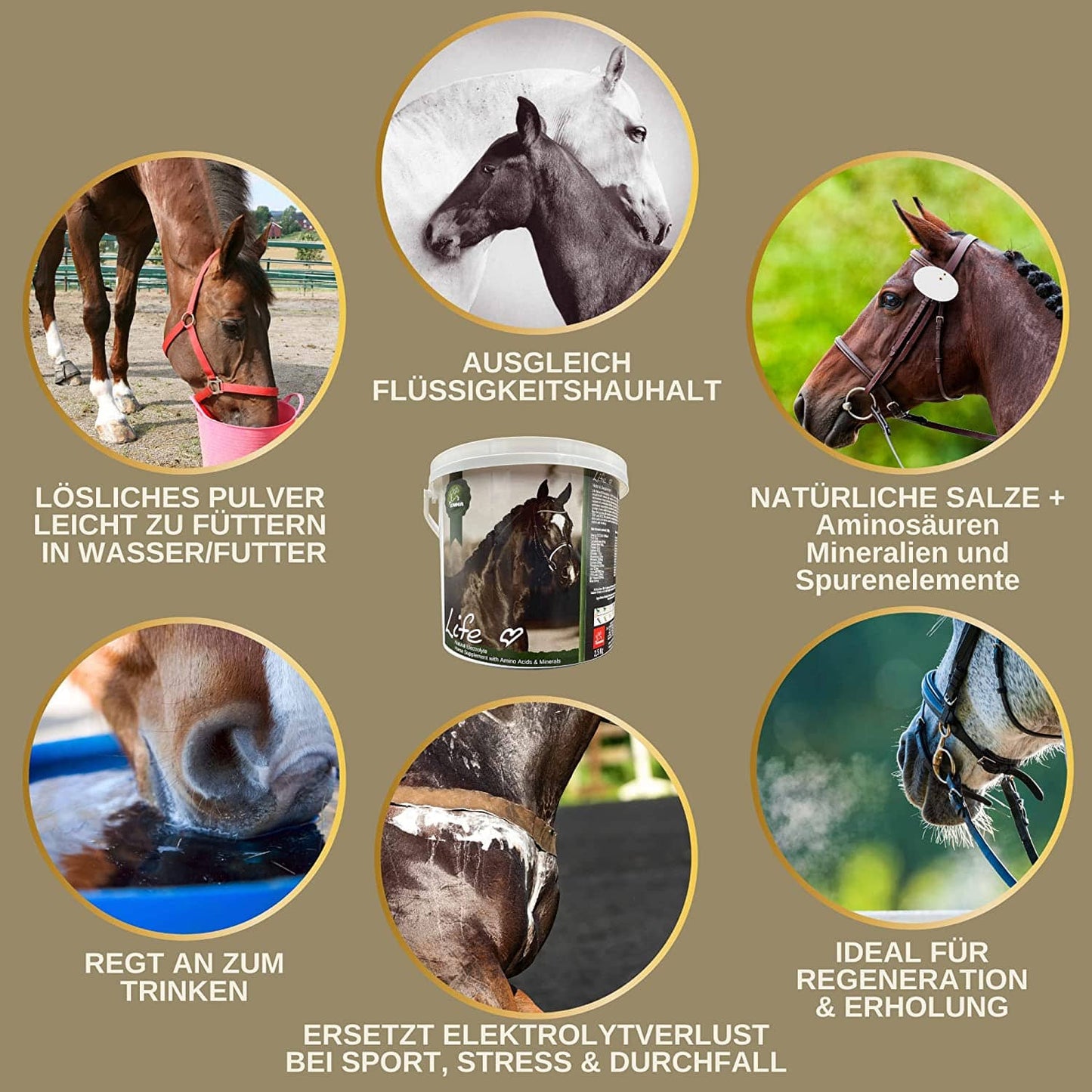 Elektrolyt SPARSET Pferd – Flüssig + Pulver + Paste – Regeneration & Vitalität – EMMA – zur Pflege & täglichen Versorgung – EMMA Care