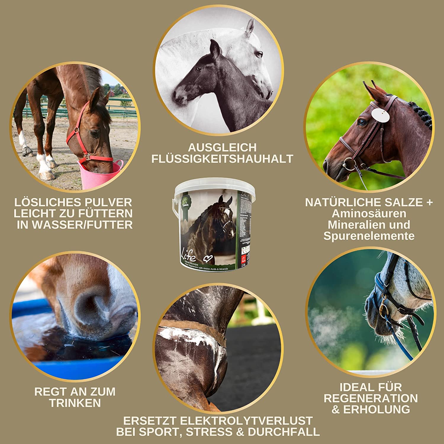 EMMA Life 6 Elektrolyte Pulver Plus Aminosäuren für Pferde I 100% natürlich I Elektrolyt Pulver mit Vitaminen Amino Energy Magnesium I Hydrate zur Unterstützung Leistung & Regeneration nach Sport Training 2,5Kg6.jpg