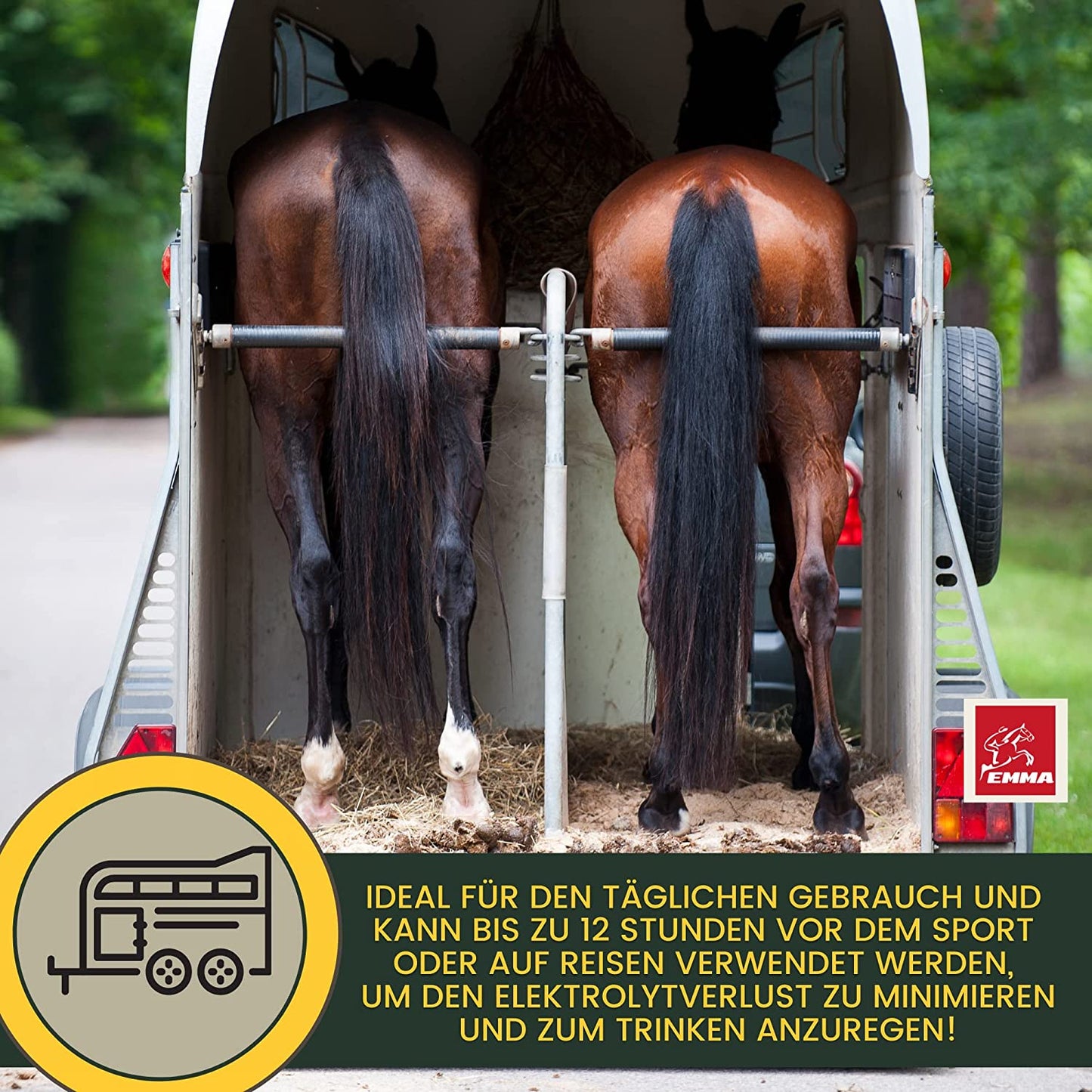 EMMA Life 6 Elektrolyte Pulver Plus Aminosäuren für Pferde I 100% natürlich I Elektrolyt Pulver mit Vitaminen Amino Energy Magnesium I Hydrate zur Unterstützung Leistung & Regeneration nach Sport Training 2,5Kg6.jpg