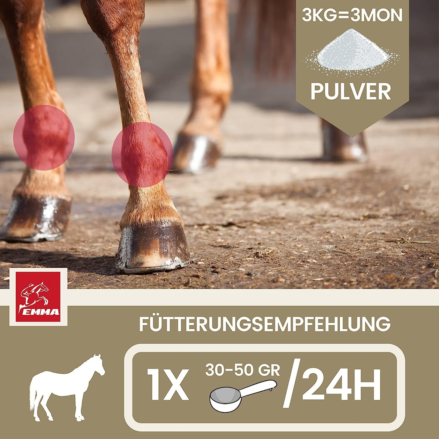 MSM Pulver I Gelenk Pulver für Pferde plus MSM Pferd - Knochen-Gelenk-Komplex mit Calcium Vitamin D C Vitamin K I Pulver zur Stärkung & Bildung Gelenke, Knochen, Knorpel, Sehnen und Bindegewebe 3Kg