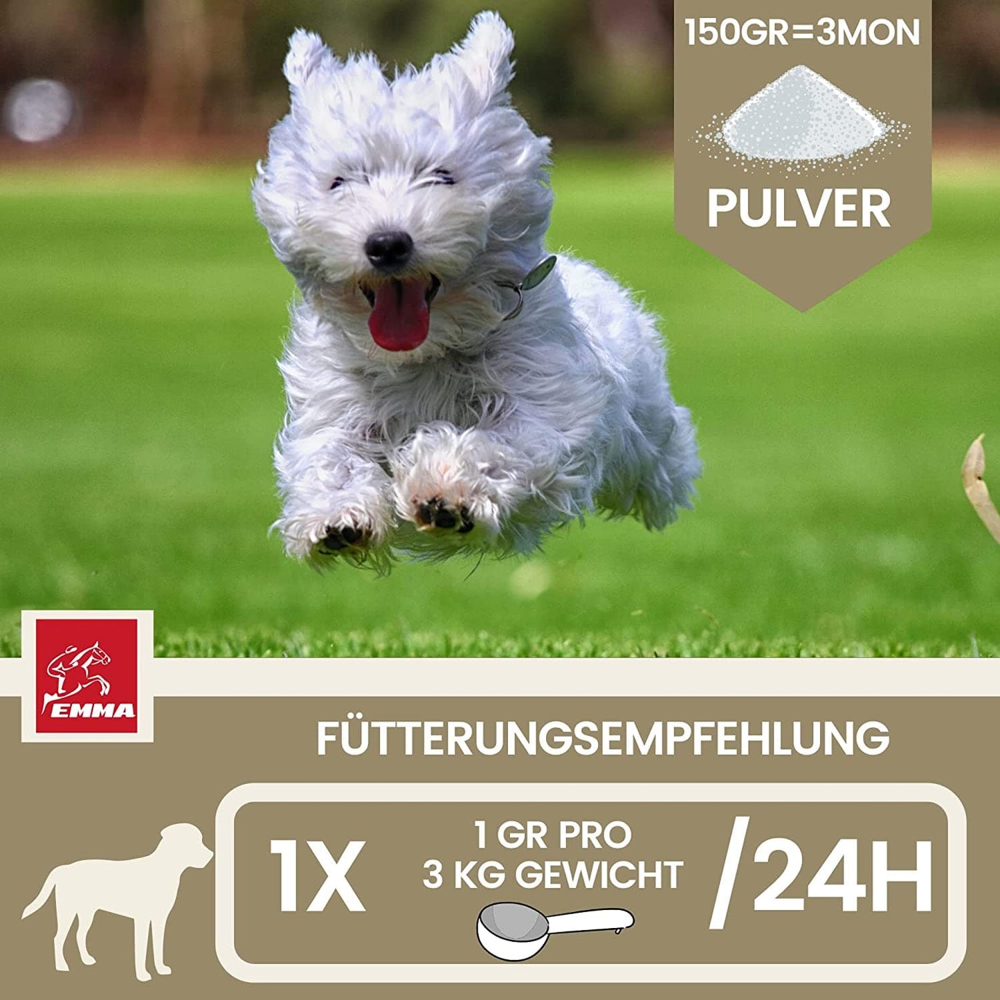 MSM & Glucosamin – Gelenkpulver für Hunde – Beweglichkeit & Gelenke – 150 g – EMMA – zur Unterstützung von Gelenken & Bewegungsapparat – EMMA Care