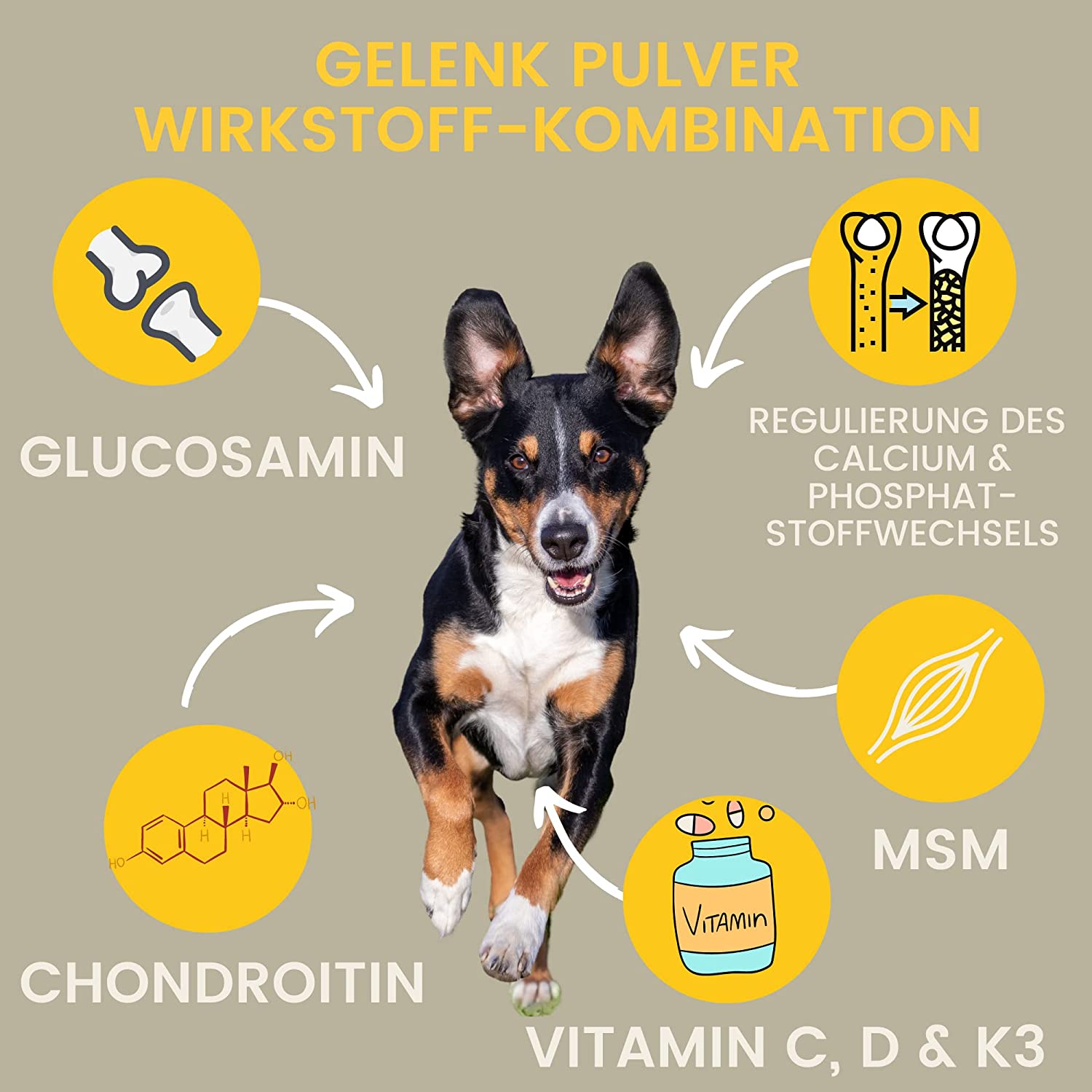 EMMA Hunde MSM 150Gr Gelenkpulver Hund mit Glucosamin, Chondroitin, Vitamine C D K3, Calcium & MSM Hund I für Gelenke & Gelenkfunktion alternativ Gelenktabletten Hund I Joint Care MSM Pulver für Hund.jpg