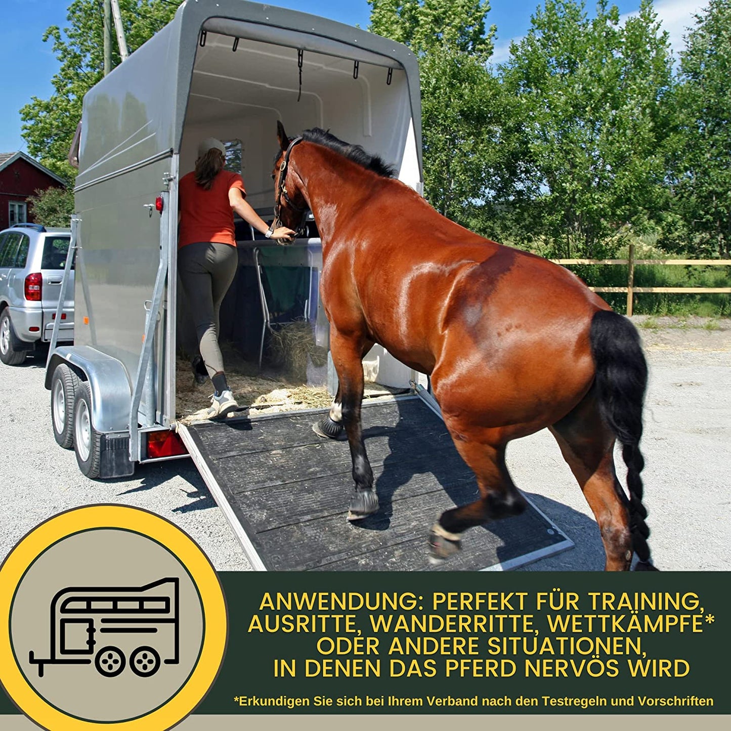 EMMA Magnesium Pferd h Vitamin B12 I CALM I Anti-Stress zur Beruhigung Nerven I L Tryptophan flüssig I Vit B 12 bei Angst Relax I für Transport I unterstützt Gelassenheit nervöse Pferd Pony hochdosiert 1L8.jpg