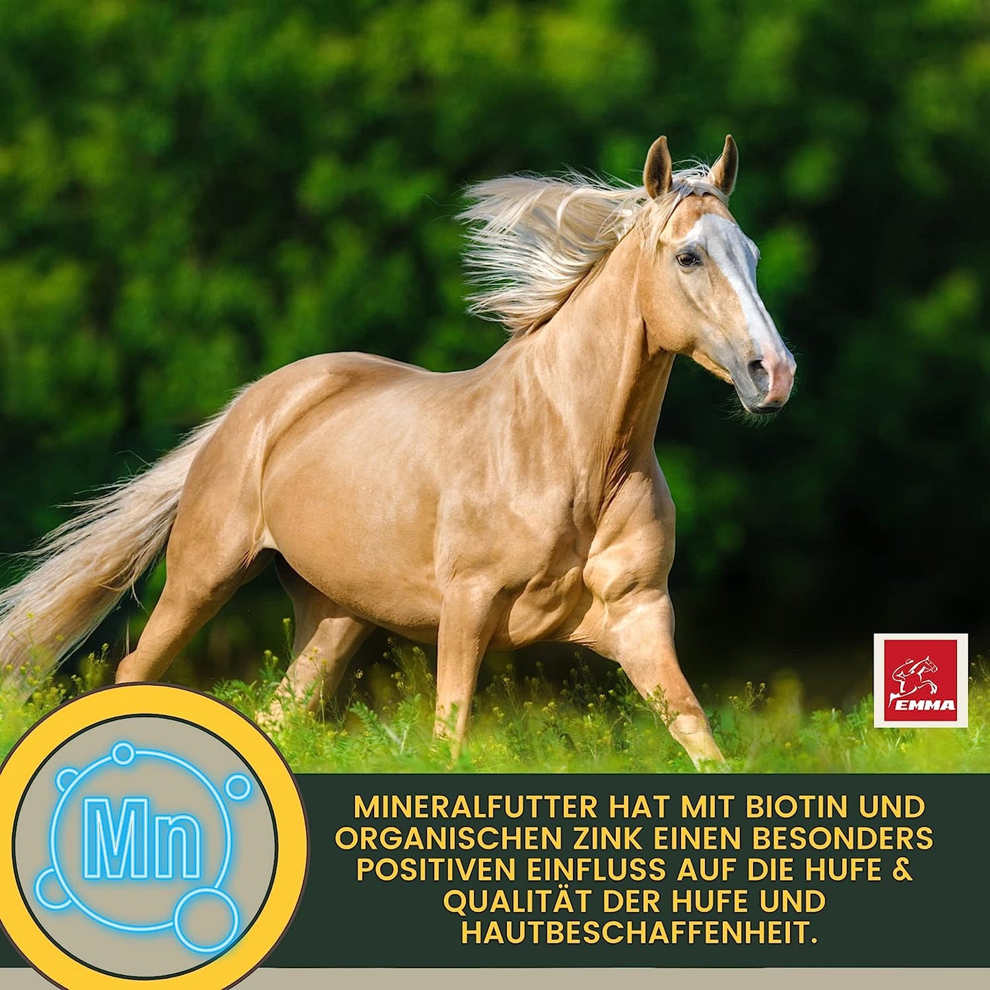 EMMA Zink 2 Pferd  Biotin Pferd - Biotin und Zink für Pferde  gesunde Hufe, Haut  Haare bei Ekzem Mauke  hochdosiert  Top Biotin Pellets  einfach ins Pferdefutter  Mineralfutter Pferde & Pony.png