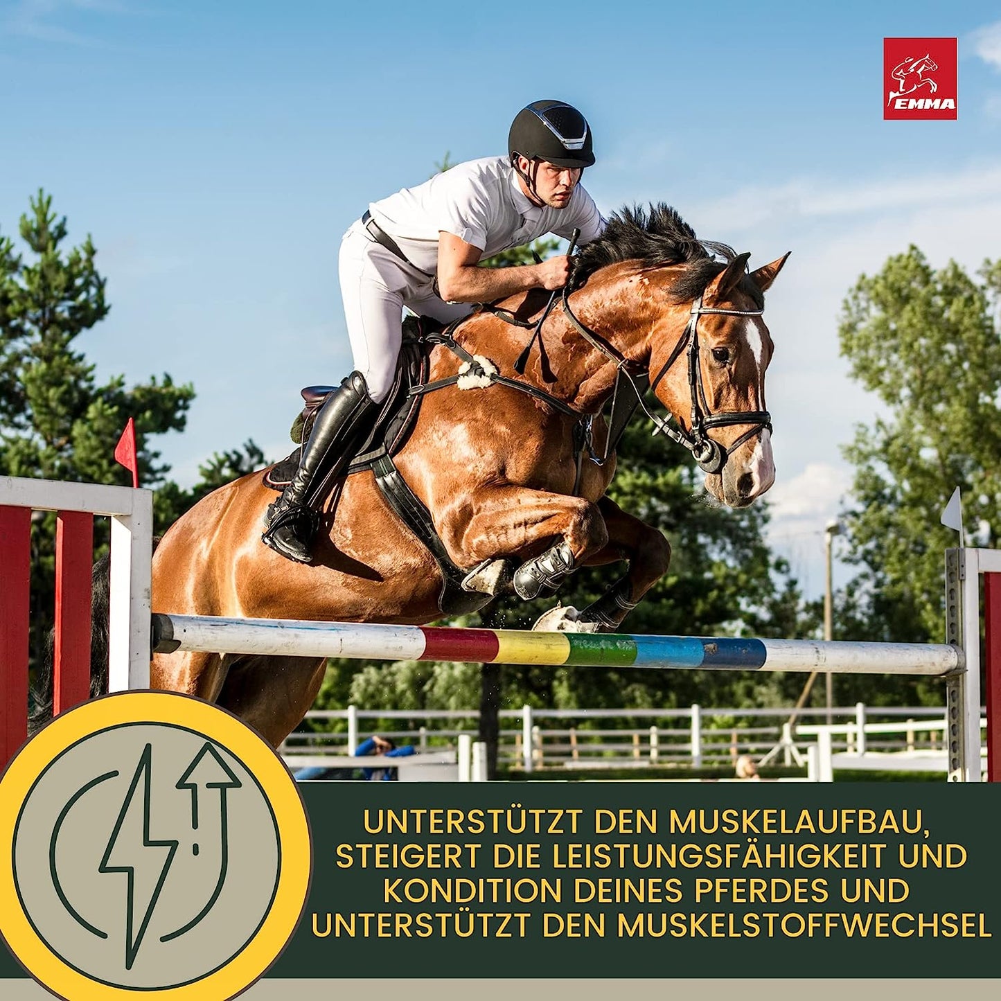 Muscosanol Pferd – Reiskeinöl Mix für Muskelaufbau + Vitamin E – 1 L – EMMA – für Muskulatur & Leistung – EMMA Care