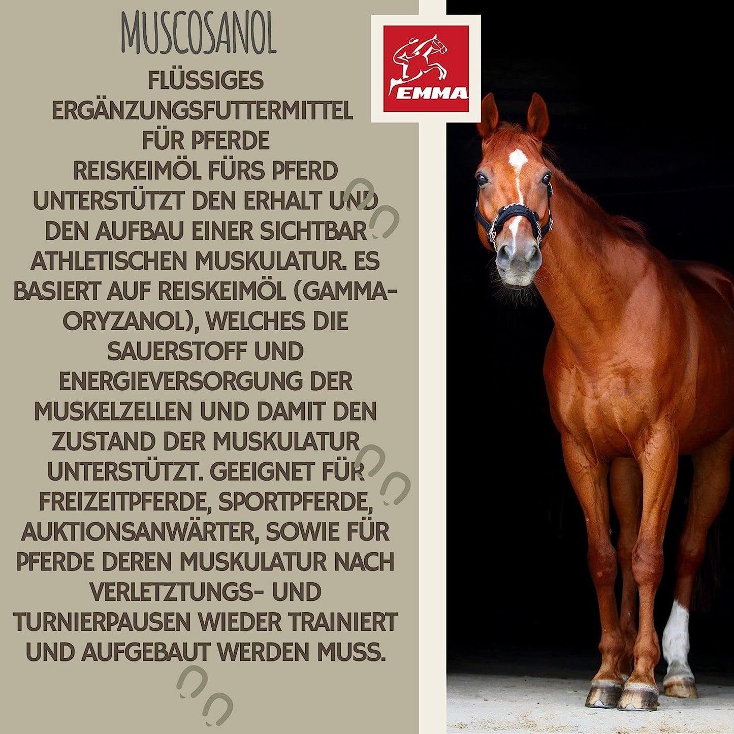 EMMA Muscosanol 10 E VITAL Reiskeimöl Leinöl 1L 30ml für Pferde Plus Vitamin E  Aminosäuren Pferd  Vitamin E komplex  Muskelaufbau Pferd Muskel Plus Öl Pferd  VIT E Pferd ohne Selen Lysin Aufbaufutter Zusatz Pferdefutter.jpg