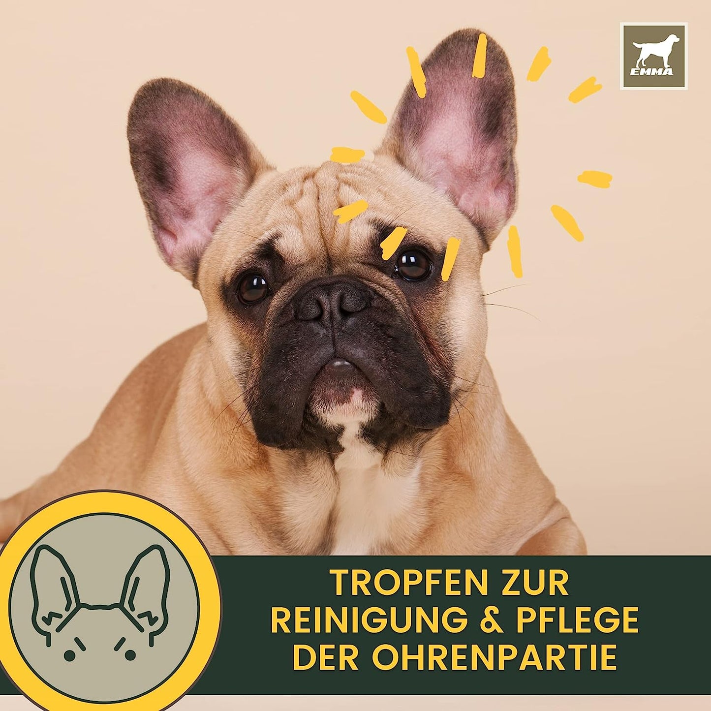 Ohrenreiniger & Augenreiniger für Hunde – Sanfte Pflege & Reinigung – 2x100 ml – EMMA – zur Pflege & täglichen Versorgung – EMMA Care