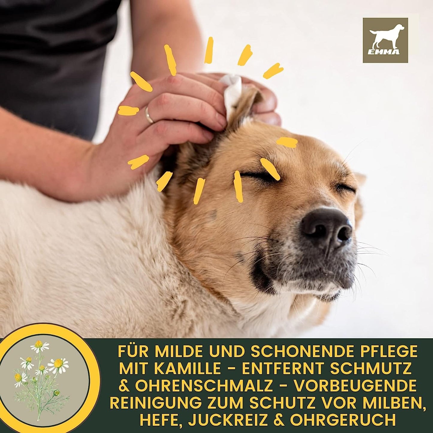 Ohrenreiniger Hund – Sanfte Ohrenpflege mit Kamille – 100 ml – EMMA – zur Pflege & täglichen Versorgung – EMMA Care