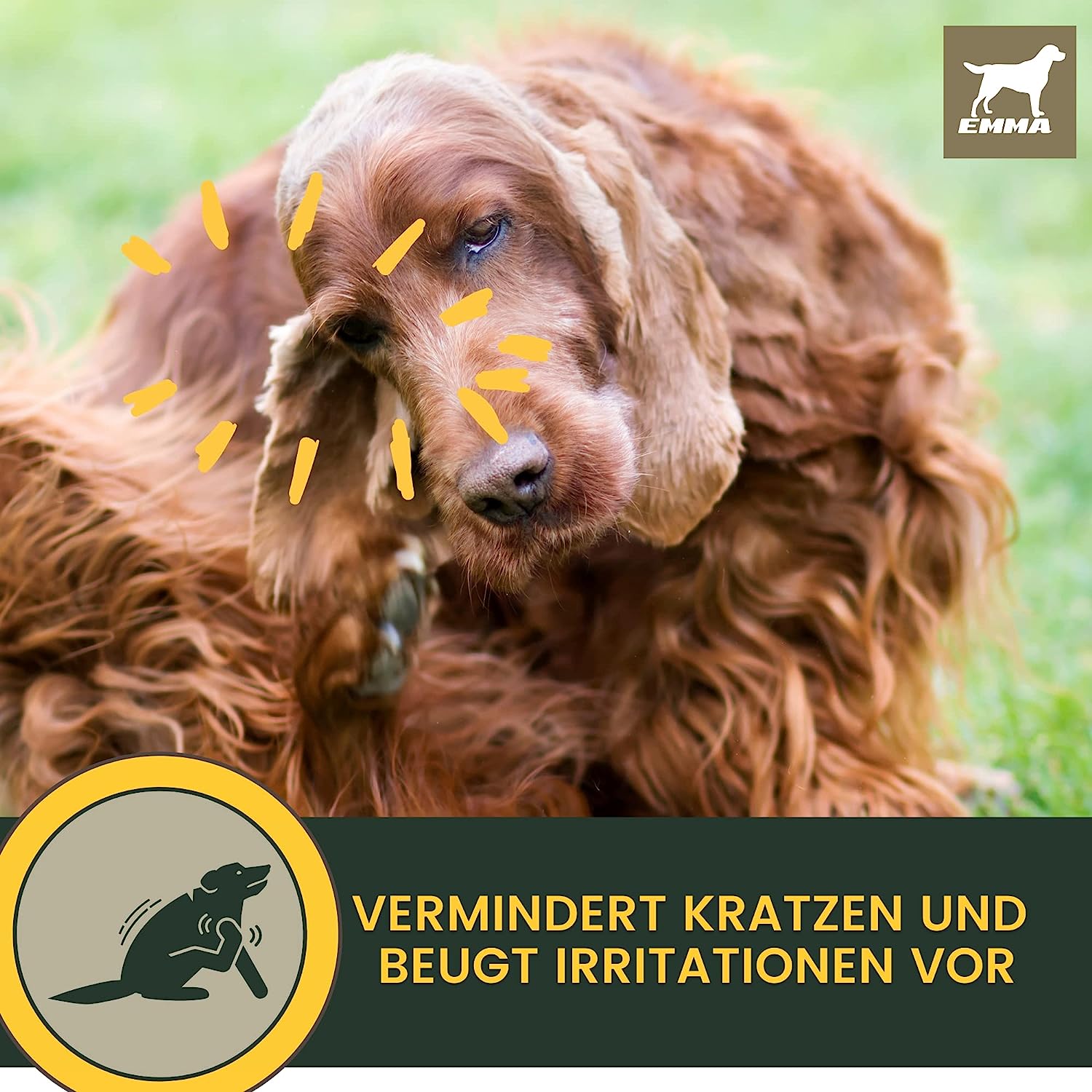 Ohrenreiniger Hund • Ohren Reinigung Tropfen • Ohrentropfen für Hunde gegen Juckreiz • milde Ohrpflege mit Kamille • Ohrreiniger bei Ohrenentzündung Mittel gegen Schmutz Ohrenschmalz Entferner 100ml.png