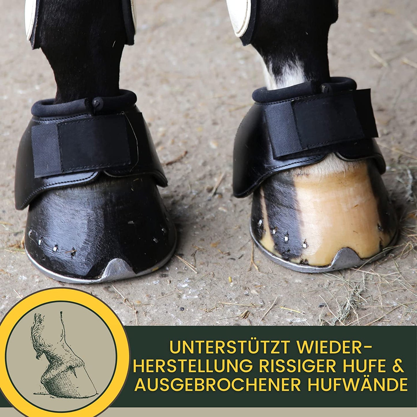 Hufoel-Pferde-mit-Pinsel-Strahlpflege-Hufbalsam-Erste-Hilfe-Set-Hufpflege-Huffett-Hufgel-Hornwachstum-Huffestiger-trockene-rissige-Hufe2.jpg