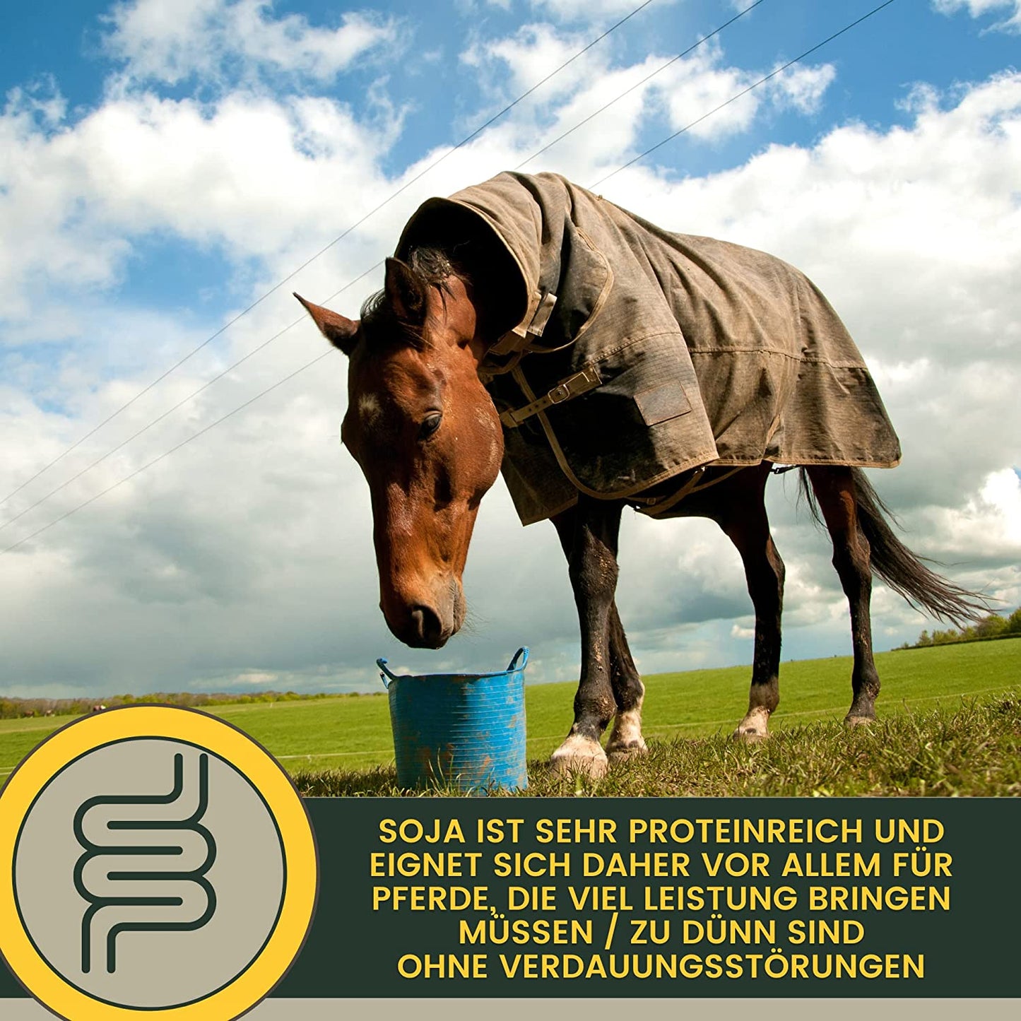 EMMA PERFORMANCE AUFBAUFUTTER 22soja aufbaufutter pferdefutter7.jpg