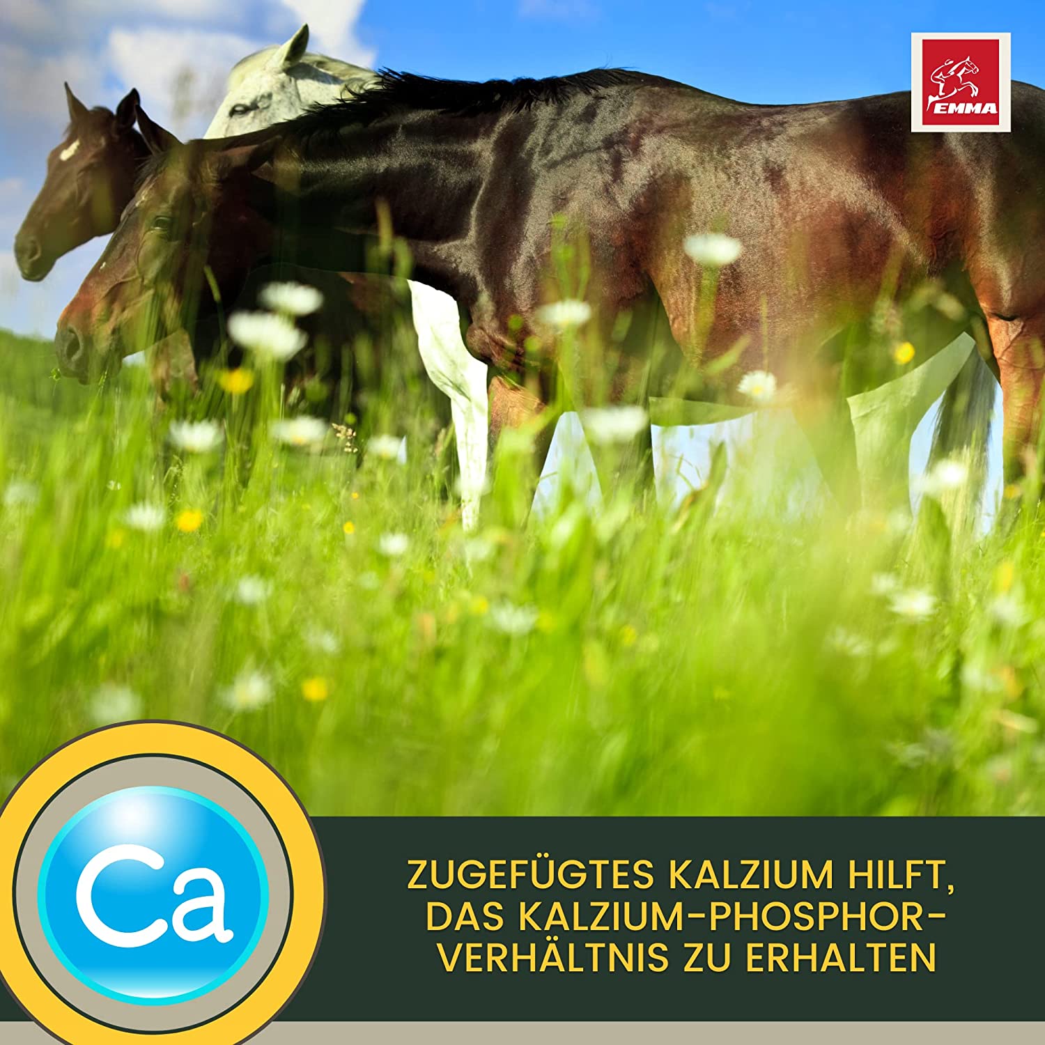 EMMA PERFORMANCE AUFBAUFUTTER 22soja aufbaufutter pferdefutter7.jpg