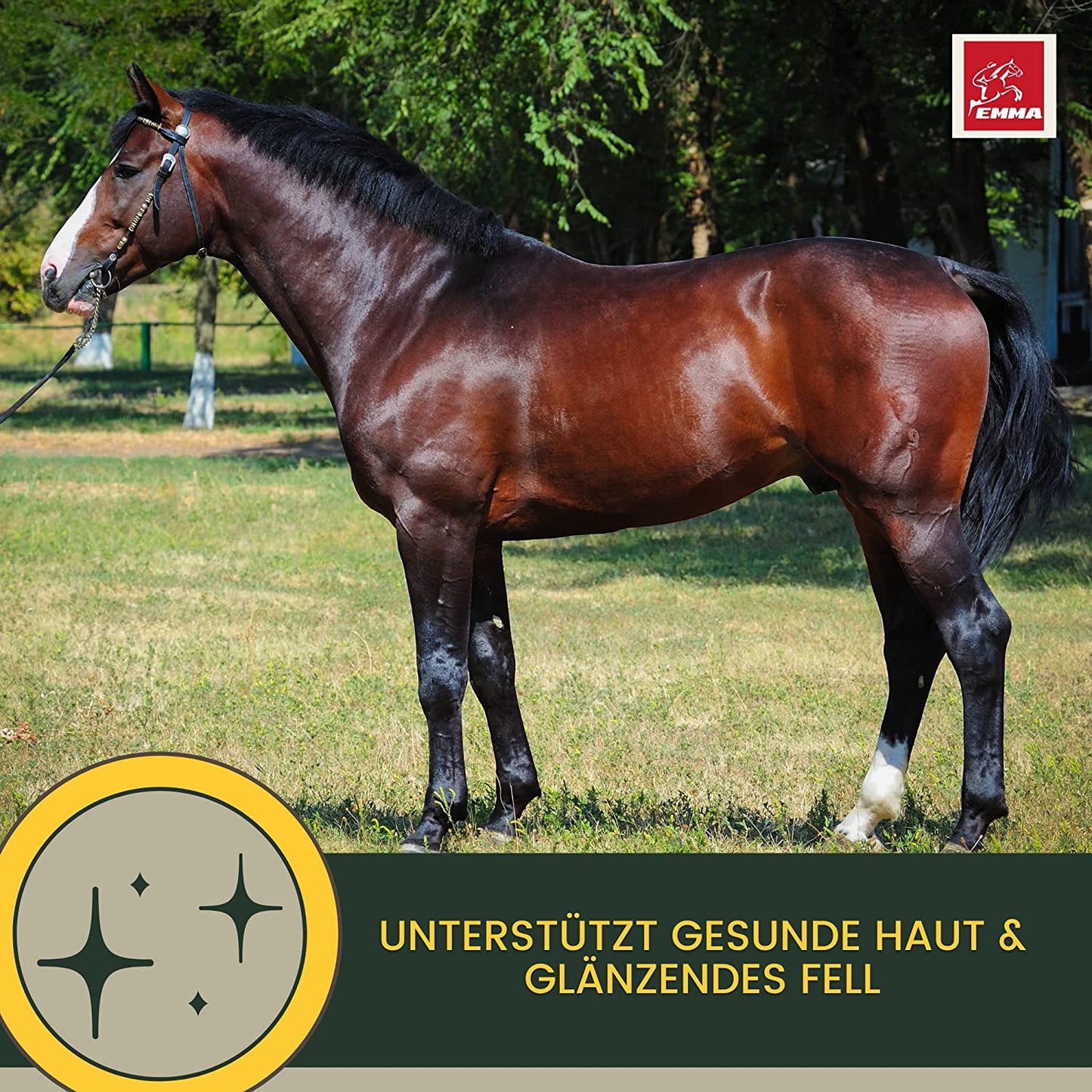 EMMA PERFORMANCE AUFBAUFUTTER 22soja aufbaufutter pferdefutter7.jpg