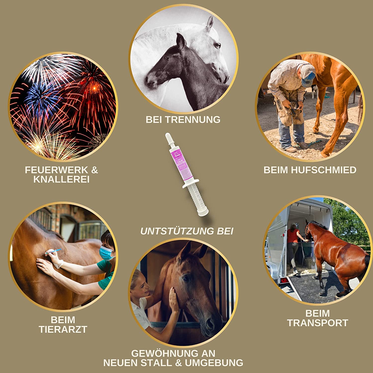 EMMA Magnesium Pferd Vitamin B12 I CALM I Anti-Stress zur Beruhigung Nerven I L Tryptophan flüssig I Vit B 12 bei Angst Relax I für Transport I unterstützt Gelassenheit nervöse Pferd Pony hochdosiert