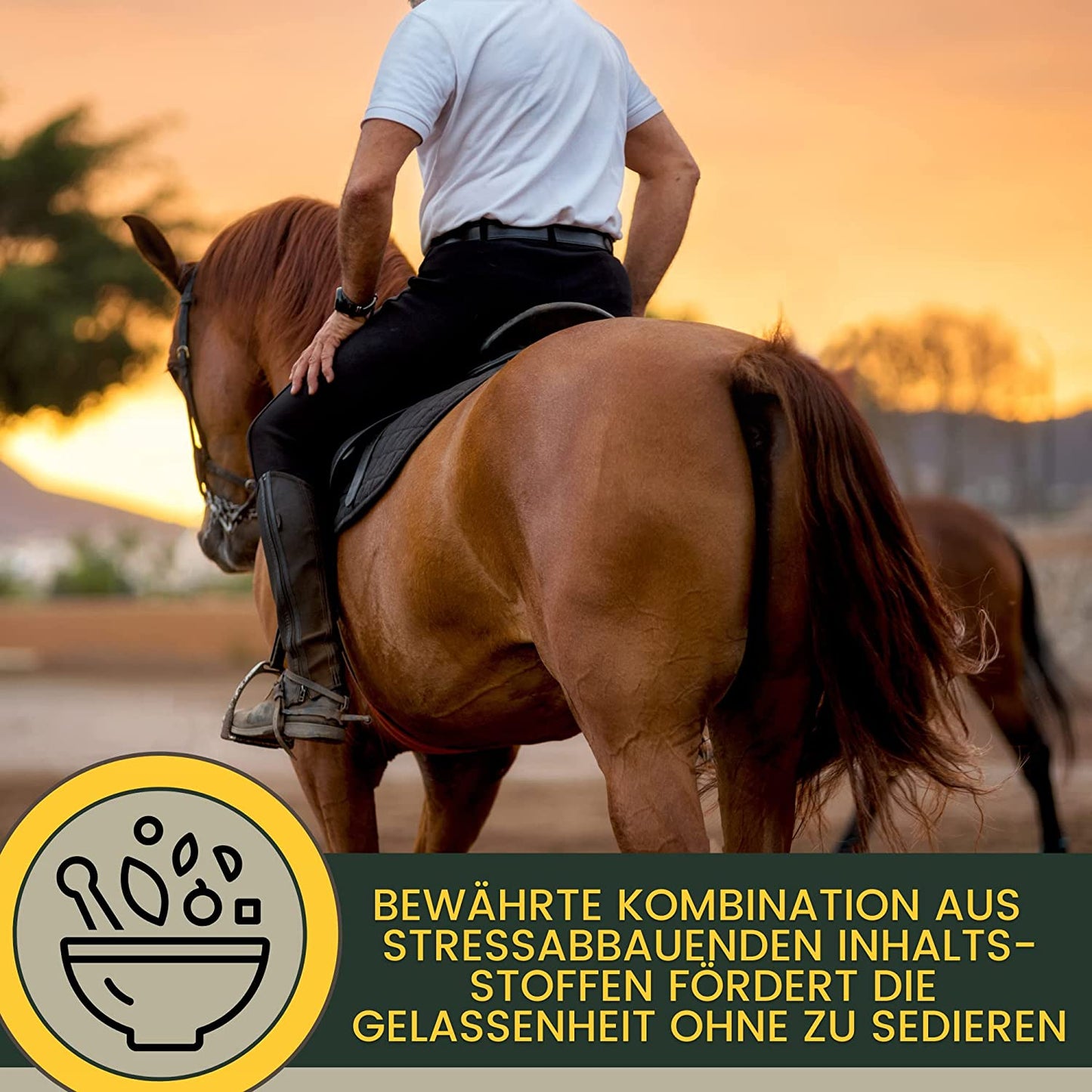 EMMA Magnesium Pferd 1Kg 30ml 1L  Liquid, Pulver  Paste Anti Stress für nervöse Pferde - Nervenstärke bei Angst Stress Transport mit l tryptophan Vitamin B12 Nervenstark Magnesium Pferd hochdosiert .jpg