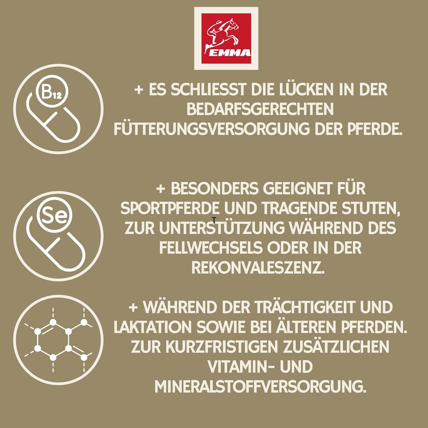 EMMA Vitamin Fluid  Pferde Vitamine  Booster I Mineralfutter für Pferde Liquid I B-Vitamine I Vitamin E b komplex B12 Eisen Selen Zink Pferd I Vitamin b1 b6 Pferd Immunsystem stärken Aufbaufutter Pferd Stuten 1L 30ml  Kopie.png
