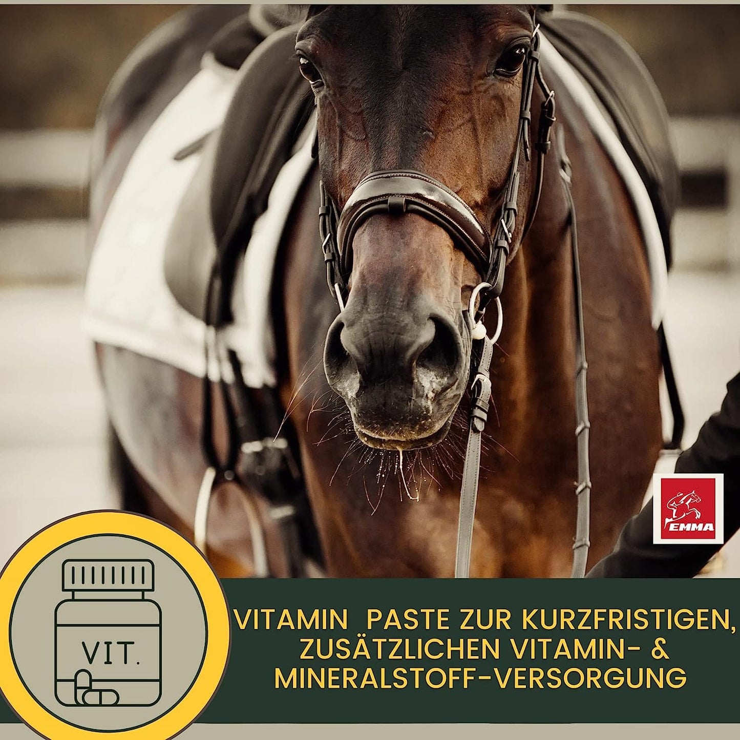 Vitamin-Pferde Booster – Ergänzungsfutter 3× – Vitalität & Leistung – EMMA – zur Pflege & täglichen Versorgung – EMMA Care