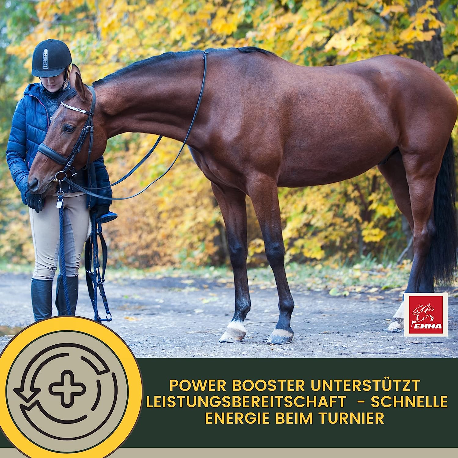 Vitamin Paste für Pferde I Energie Booster B-Vitamine I Vitamin B-komplex Pferd B12 Lysin Zink Pferd I Mineralien I Immunsystem stärken I Vitamin E Pferd Spurenelemente hochdosiert Oldie Stuten 1St1.jpg