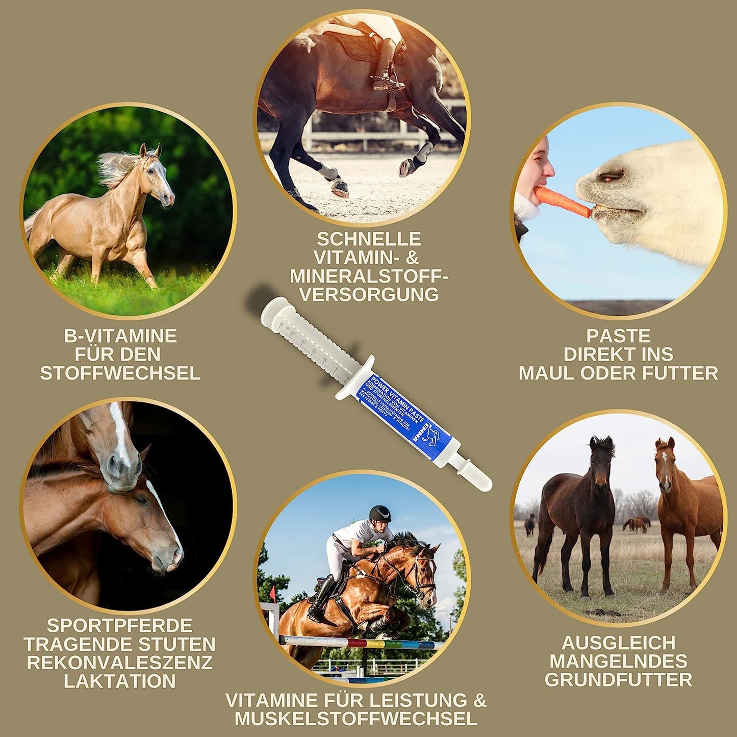 Vitamin Paste für Pferde I Energie Booster B-Vitamine I Vitamin B-komplex Pferd B12 Lysin Zink Pferd I Mineralien I Immunsystem stärken I Vitamin E Pferd Spurenelemente hochdosiert Oldie Stuten 1St1.jpg