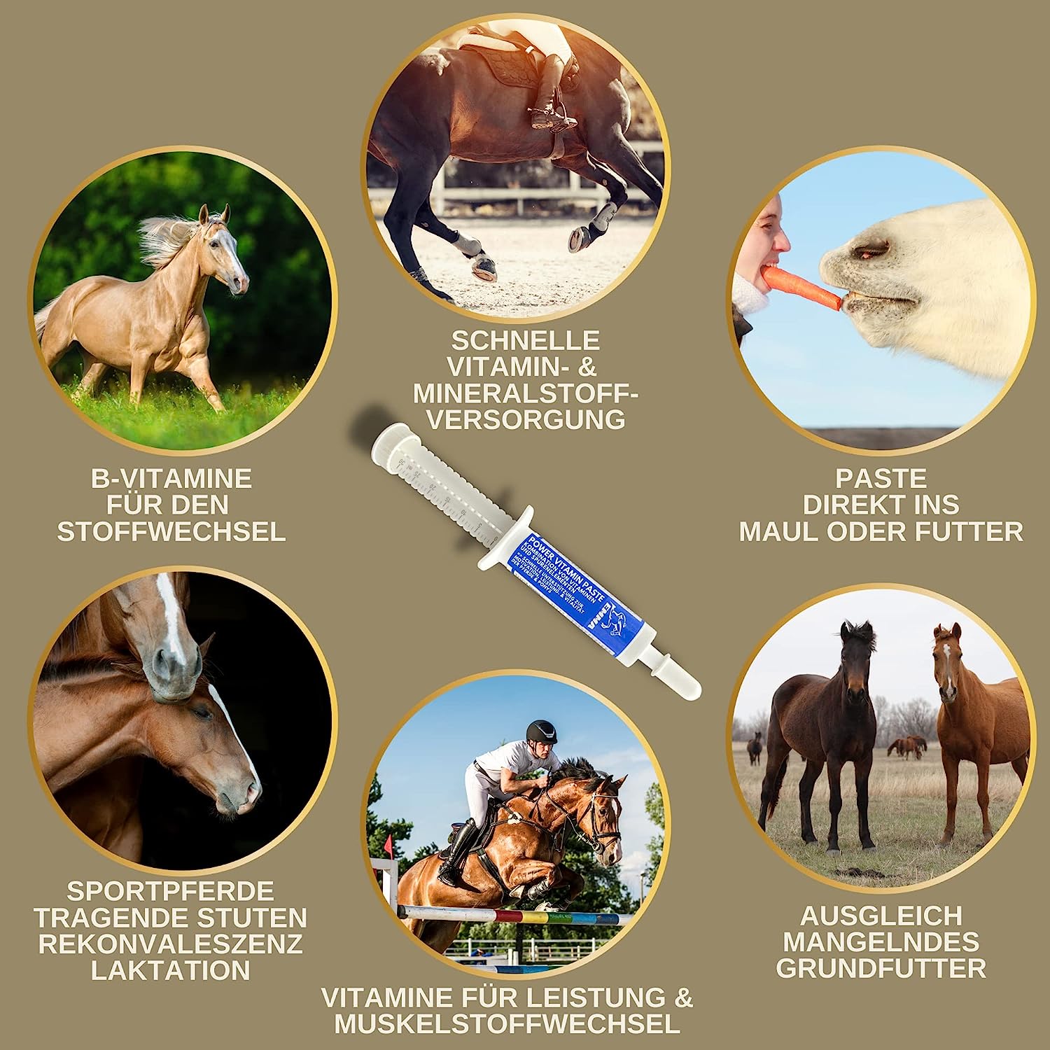 Vitamin Paste für Pferde I Energie Booster B-Vitamine I Vitamin B-komplex Pferd B12 Lysin Zink Pferd I Mineralien I Immunsystem stärken I Vitamin E Pferd Spurenelemente hochdosiert Oldie Stuten 1St1.jpg