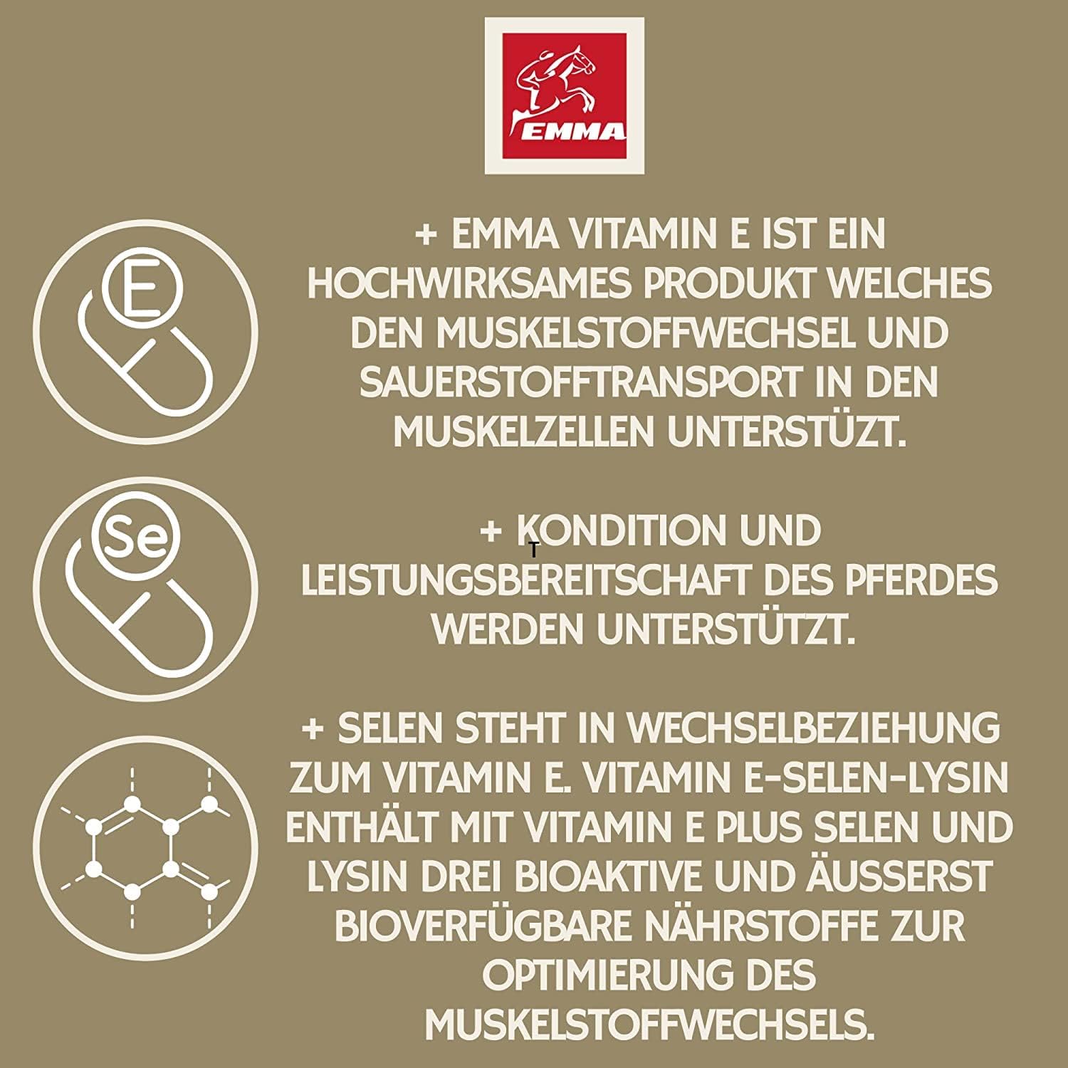 Selen Vitamin E Lysin Liqud + Booster für Pferde gesunde Muskulatur erhalten Pferd Vitamin E-Selen Lysin Amino Energy für Konditon Leistung Muskelaufbau