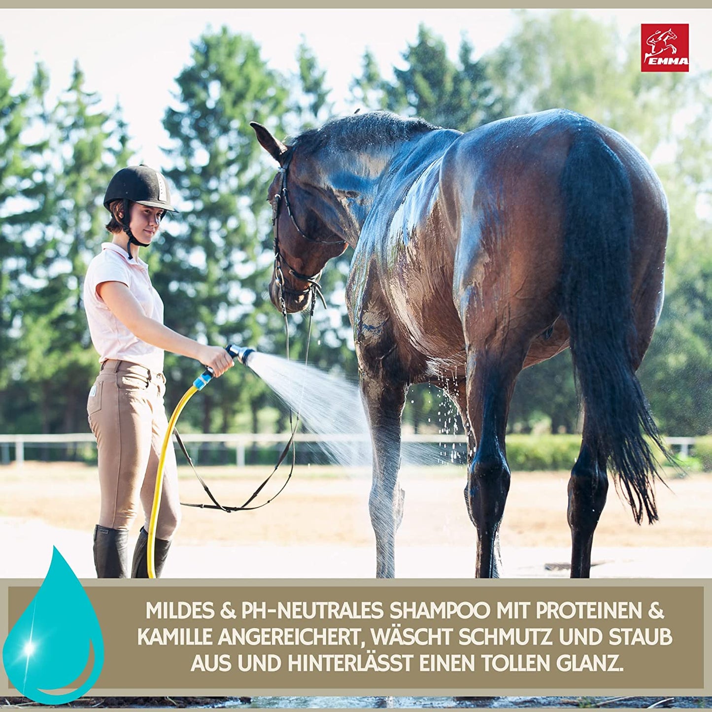 EMMA Pferdeshampoo Shampoo für Hunde Pferde 2 * 500ml I mildes Pferde Shampoo ph neutral Kamille I Pferdepflege glänzendes Fell I Hundeshampoo gegen Geruch I Mane n Tale Shampoo I Fellpflege sensitiv .jpg