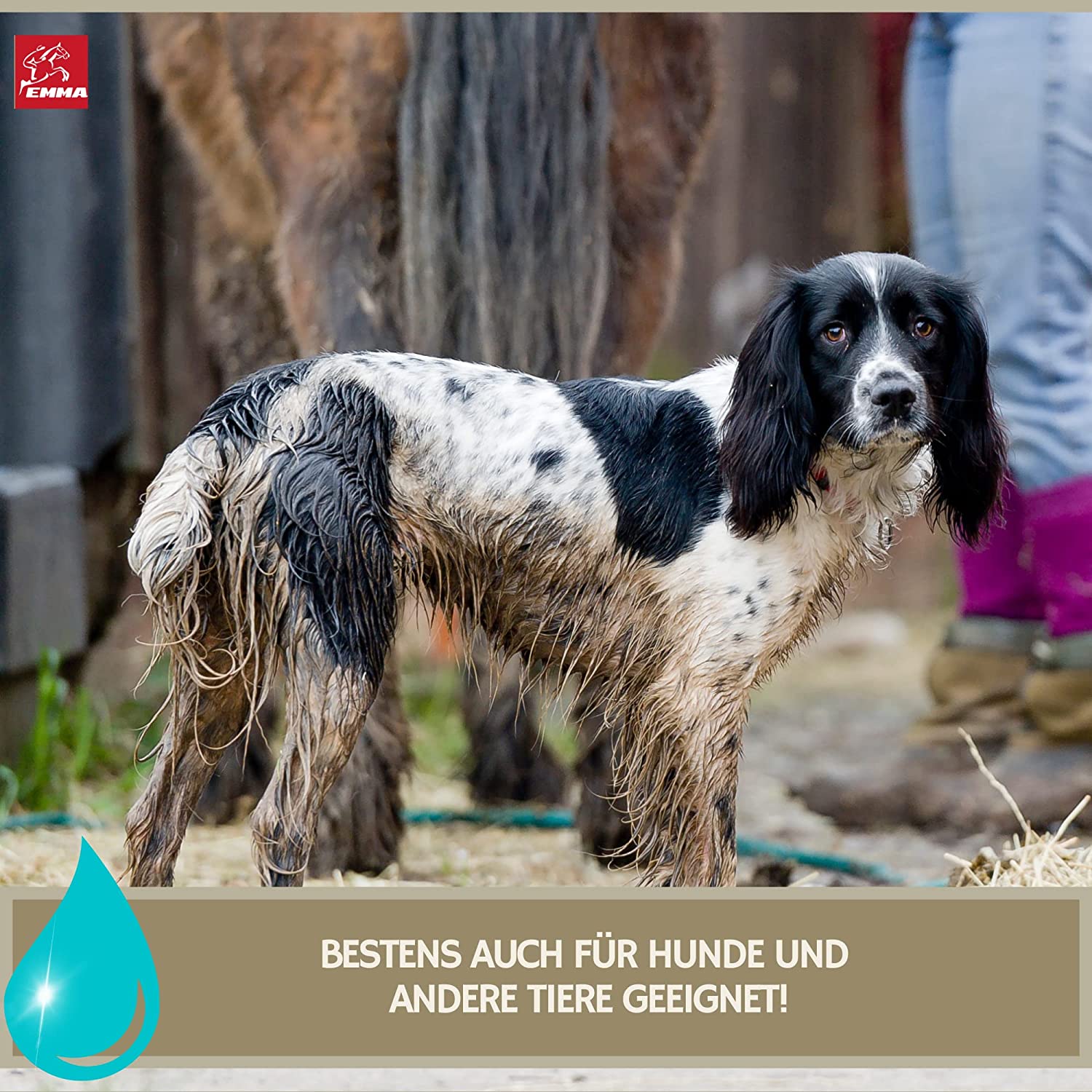EMMA Tea Tree Shampoo Hundeshampoo mit Teebaumöl für Hunde Katzen 250ml I mildes Hunde Shampoo ph neutral I Pferdepflege Set glänzendes Fell I Katzenshampoo I für trockene & irritierte Haut I Fellpflege.jpg