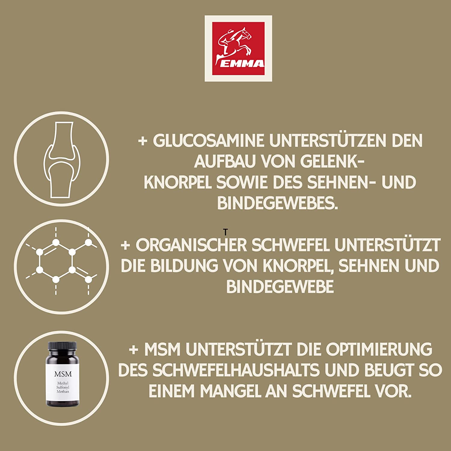 EMMA MSM Pferd 1L Liquid Glucosamin Chondroitin Hochdosiert mit MSM I Gelenk komplex Erhaltung der Knochen & Gelenke Sehnen Bänder stärken mit Glucosamin Chondroitin MSM Kollagen anstatt MSM Pulver