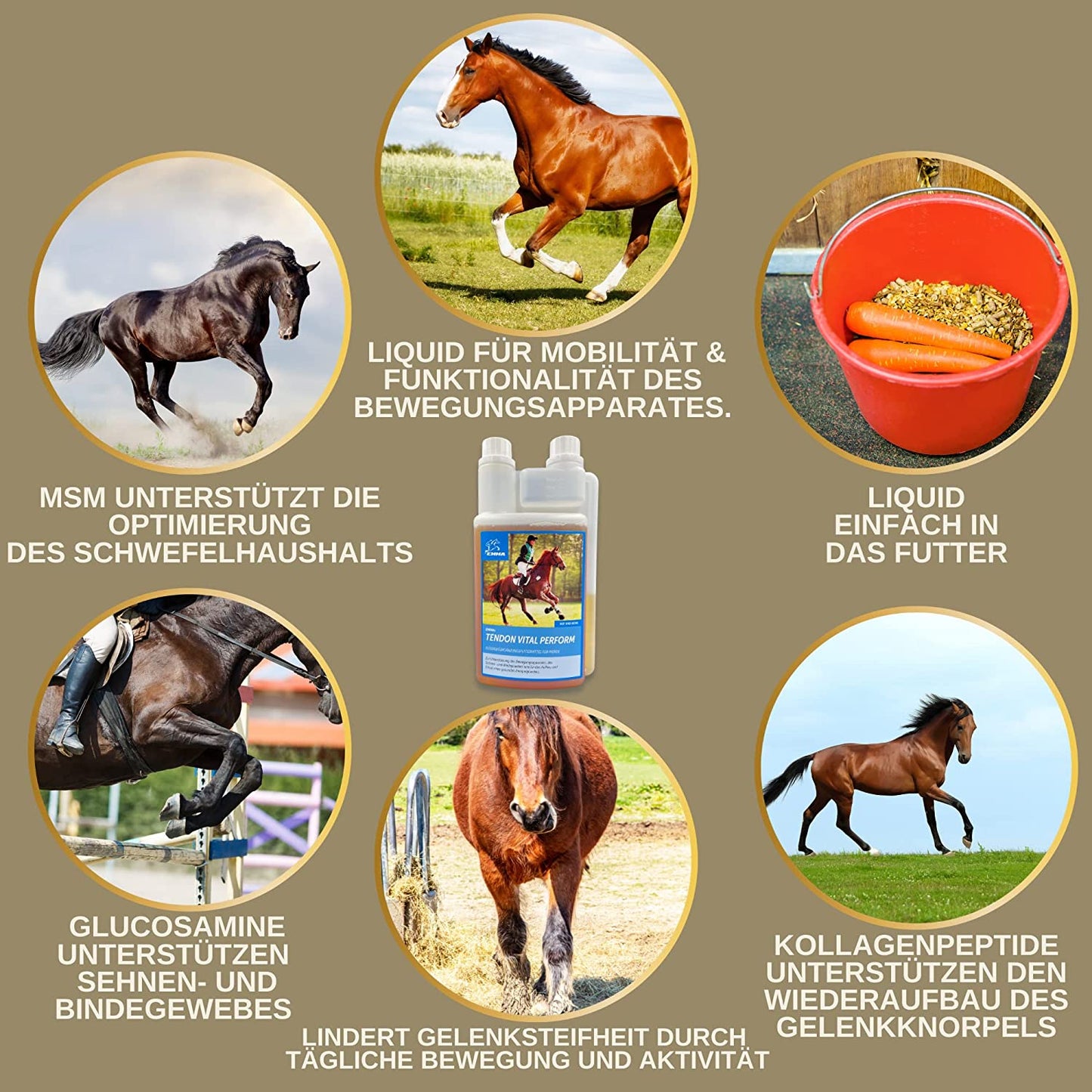 EMMA MSM Pferd 1L Liquid Glucosamin Chondroitin Hochdosiert mit MSM I Gelenk komplex Erhaltung der Knochen & Gelenke Sehnen Bänder stärken mit Glucosamin Chondroitin MSM Kollagen anstatt MSM Pulver