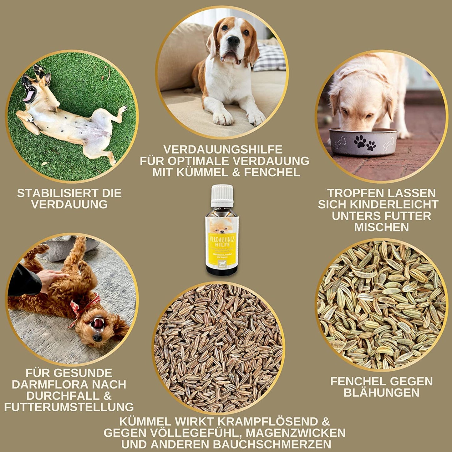 Darmkur Hund Kräuter Aktiv Tropfen + Kümmel I Erste Hilfe Verdauung - Magen-Darm Darmflora Hund I Aufbaufutter Hund - Durchfall Hund Blähungen I Darmsanierung I Appetitanreger für Hunde 30ml3.jpg
