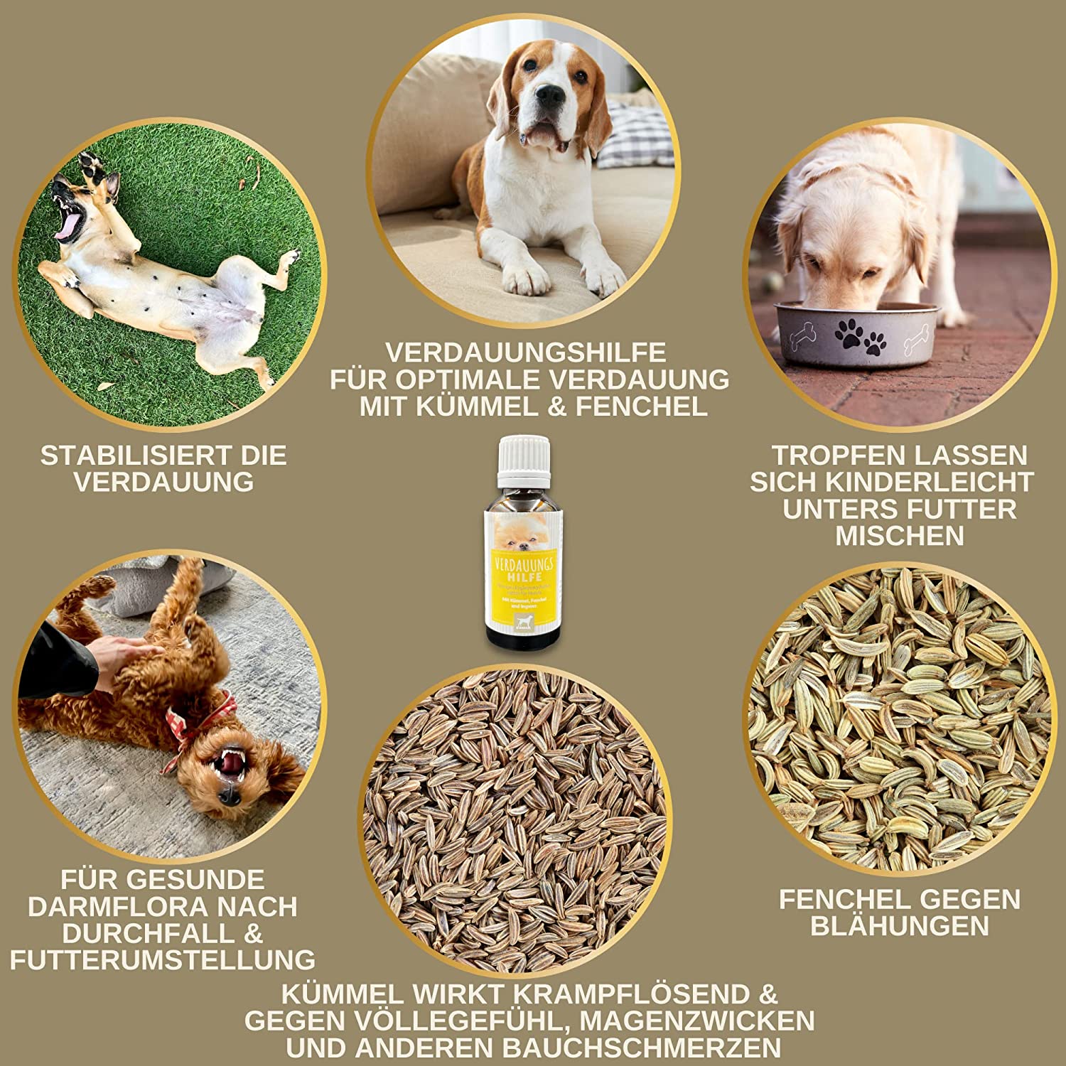 Darmkur Hund Kräuter Aktiv Tropfen + Kümmel I Erste Hilfe Verdauung - Magen-Darm Darmflora Hund I Aufbaufutter Hund - Durchfall Hund Blähungen I Darmsanierung I Appetitanreger für Hunde 30ml3.jpg