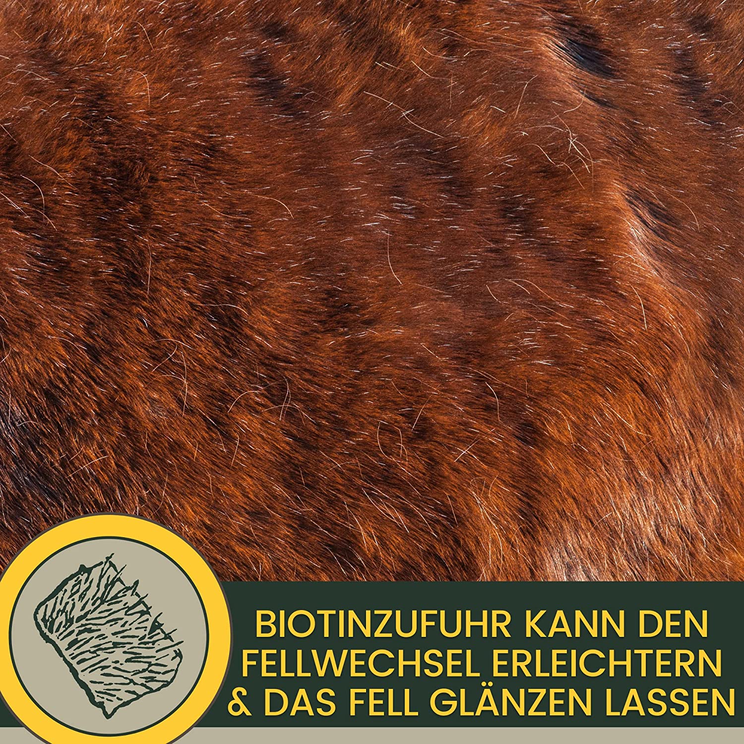 EMMA Zink 2 Pferd  Biotin Pferd - Biotin und Zink für Pferde  gesunde Hufe, Haut  Haare bei Ekzem Mauke  hochdosiert  Top Biotin Pellets  einfach ins Pferdefutter  Mineralfutter Pferde & Pony.png