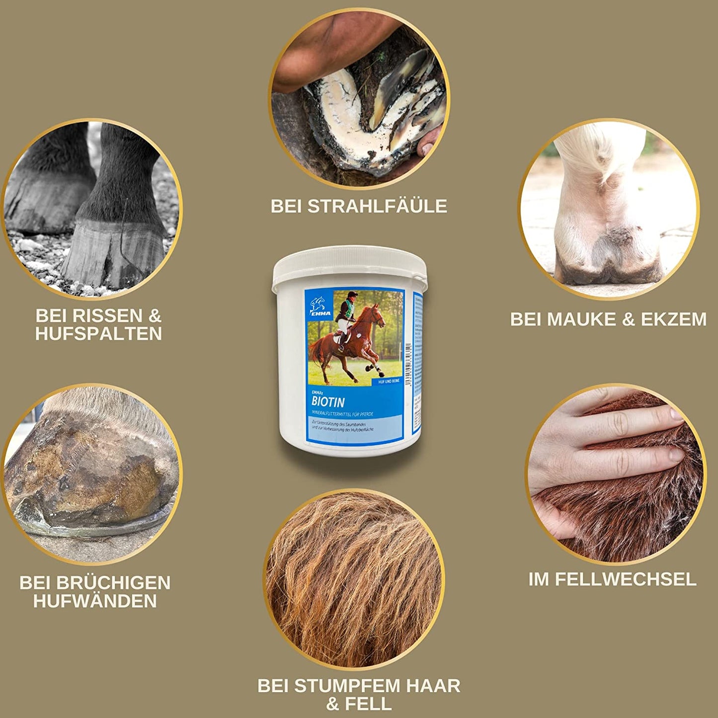 EMMA Zink 2 Pferd  Biotin Pferd - Biotin und Zink für Pferde  gesunde Hufe, Haut  Haare bei Ekzem Mauke  hochdosiert  Top Biotin Pellets  einfach ins Pferdefutter  Mineralfutter Pferde & Pony.png