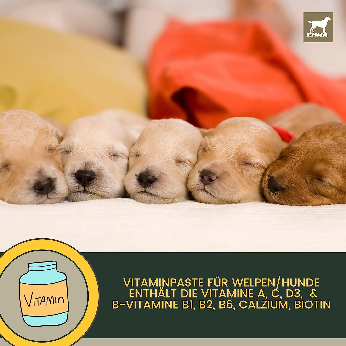 EMMA Multi-Vitamin Paste Hund I Welpen Aufbau-Paste I Vitaminpaste für Hunde I Vitamin A C E D3 B1 B2 B6 B Komplex I Aufbaufutter Kur Junge Senior Hunde Vitamin-Booster I Immunsystem stärken