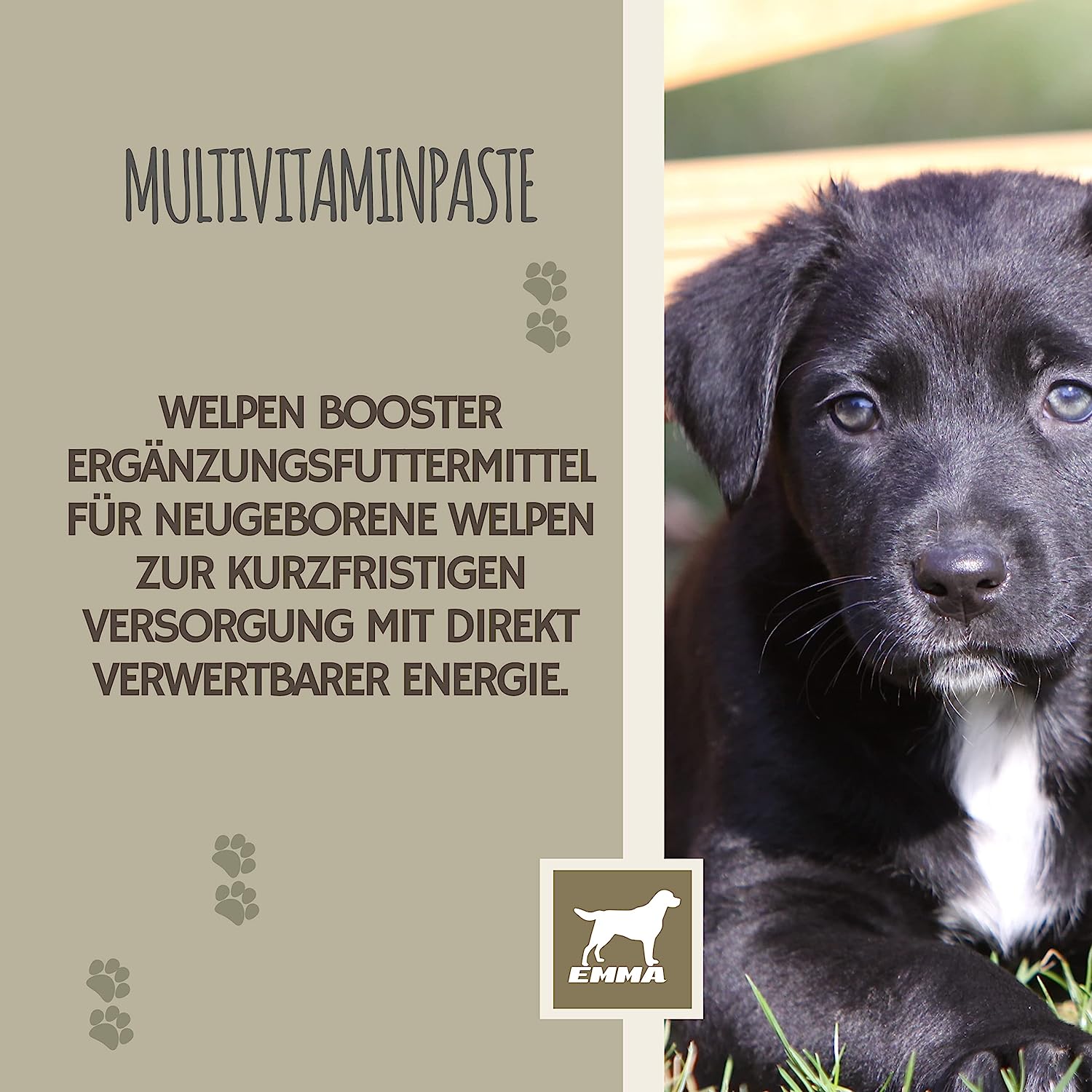EMMA Multi-Vitamin Paste Hund I Welpen Aufbau-Paste I Vitaminpaste für Hunde I Vitamin A C E D3 B1 B2 B6 B Komplex I Aufbaufutter Kur Junge Senior Hunde Vitamin-Booster I Immunsystem stärken