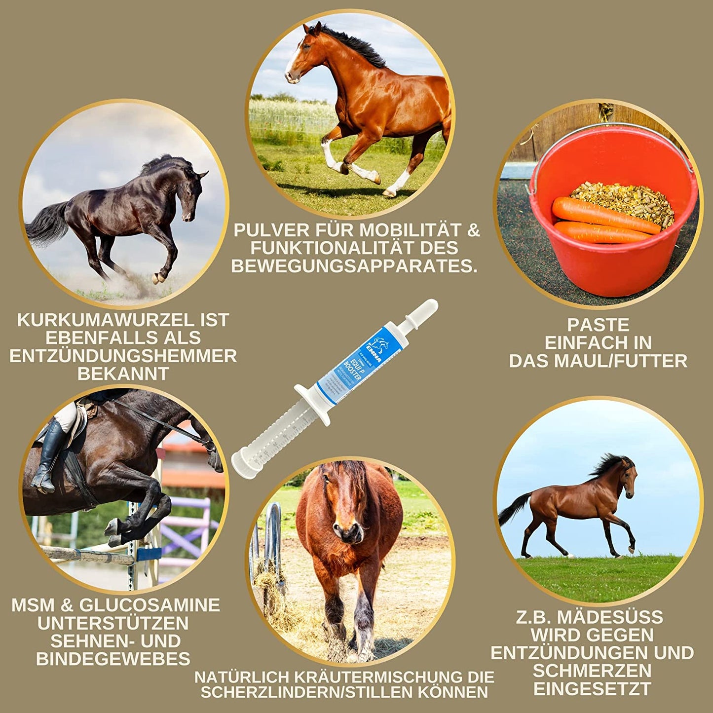 EMMA MSM Pferd Weidenrinde Pferd  Equi P Booster - Vitamin-Paste Plus Glucosamin Chondroitin hochdosiert Pferd - Vitamin C Bierhefe - Bewegungsapparat Gelenke Sehnen Bänder Knorpel Senioren Pferde 2St .png