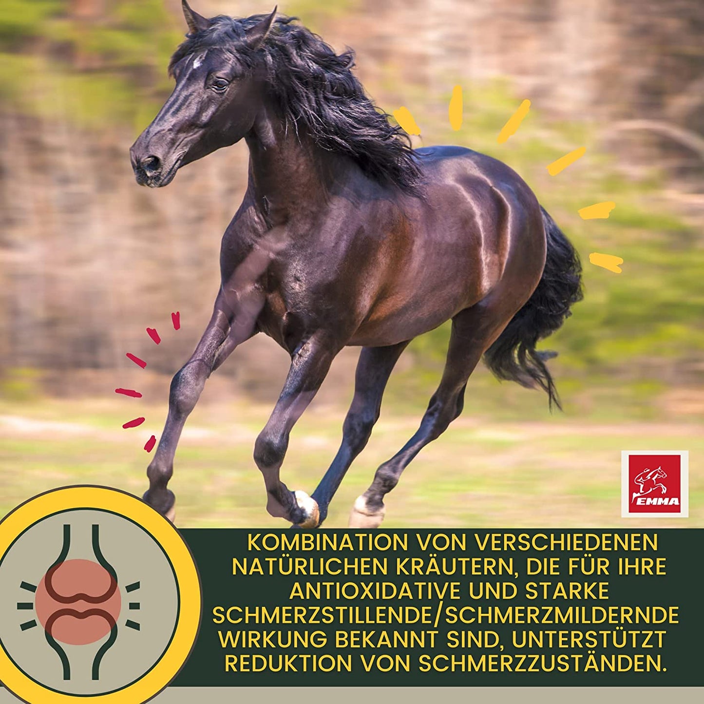 EMMA MSM Pferd Weidenrinde Pferd  Equi P Booster - Vitamin-Paste Plus Glucosamin Chondroitin hochdosiert Pferd - Vitamin C Bierhefe - Bewegungsapparat Gelenke Sehnen Bänder Knorpel Senioren Pferde 2St .png