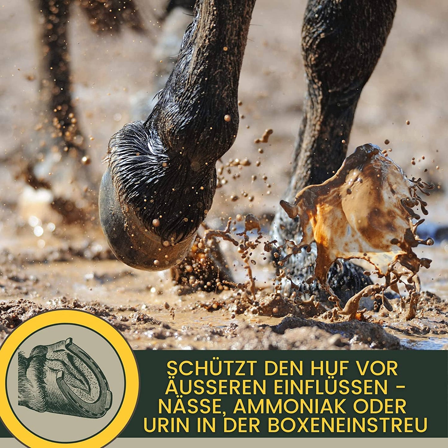 Pferdepflege Set – Mähnenspray mit Duft & Huffett mit Lorbeeröl – Pferd – EMMA – für gepflegte Mähne, Schweif & Fell – EMMA Care