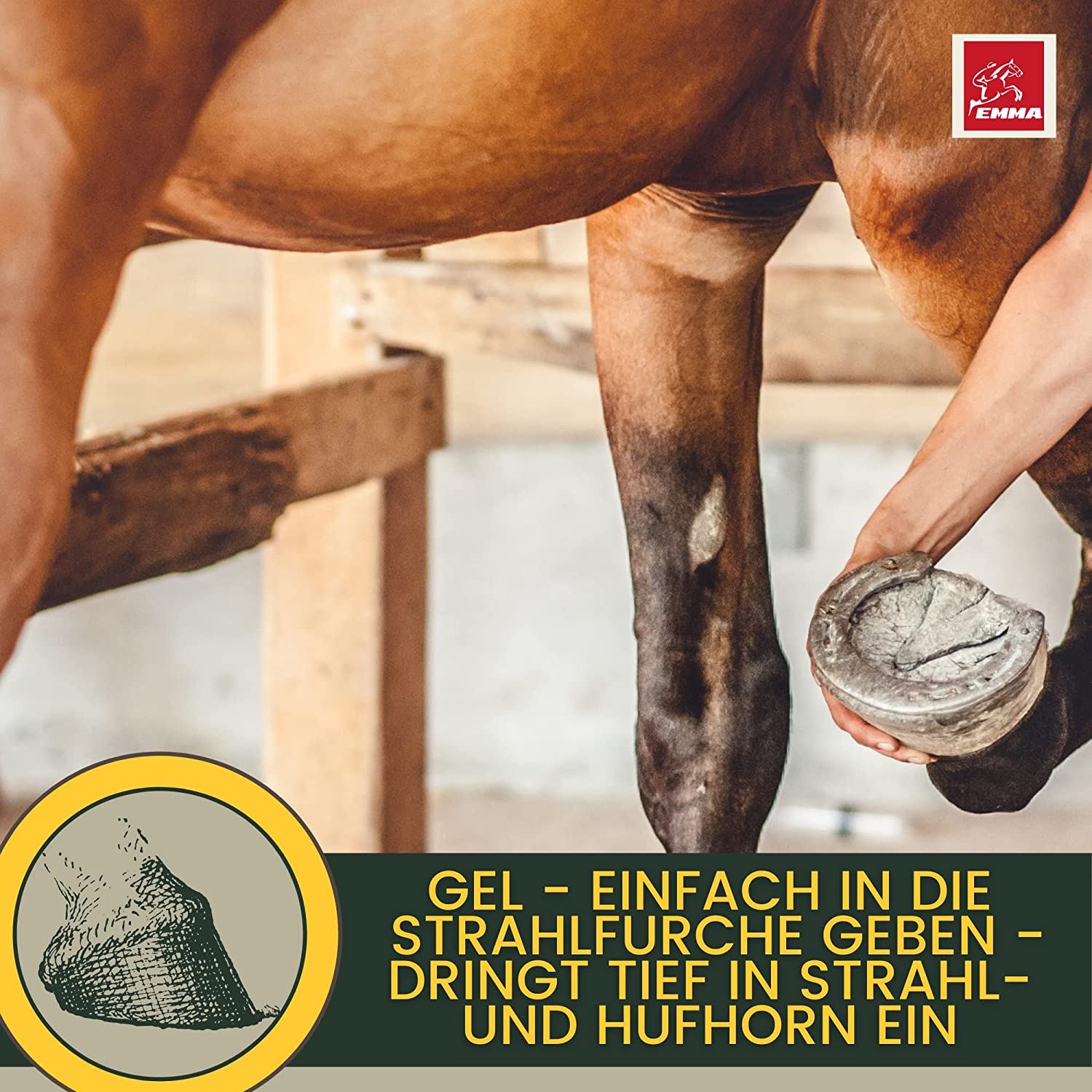 Pferdepflege Set - Mähnenspray mit Duft & Huffett mit Lorbberöl  für Pferde