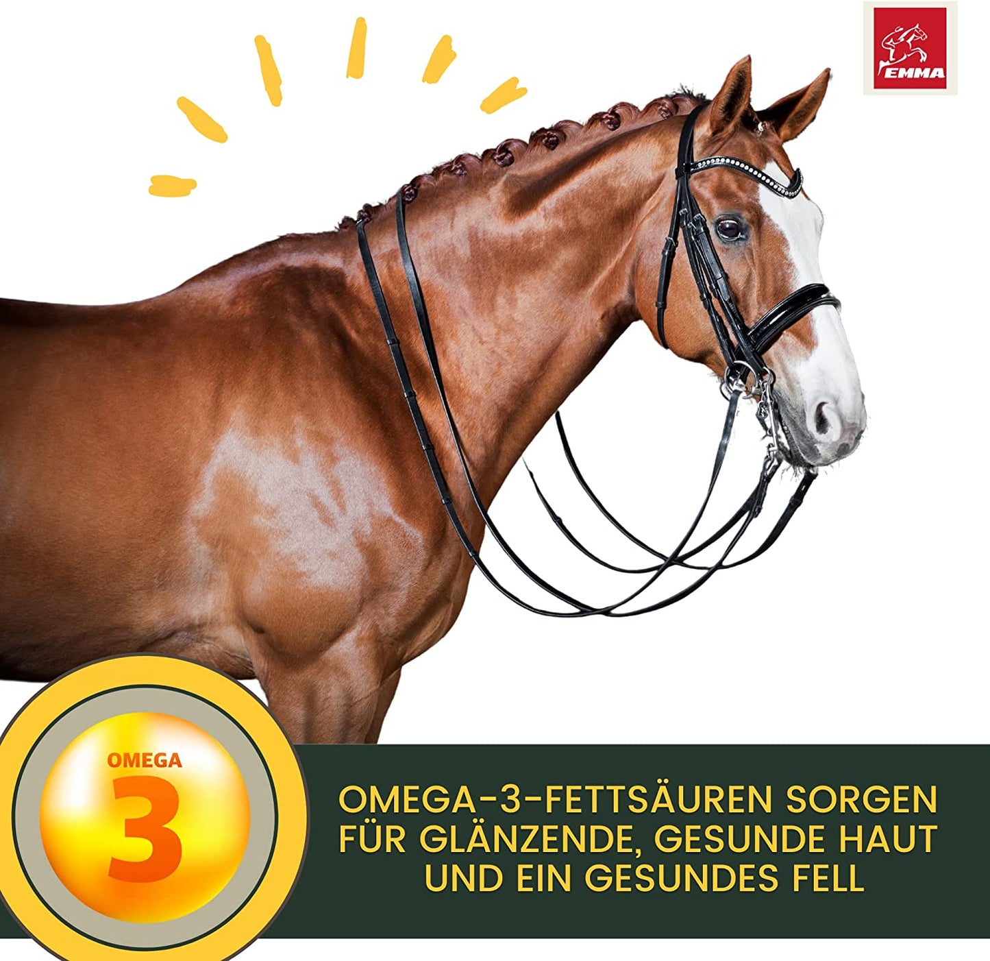 EMMA Linseed oil Leinöl Pferde 2  1L für Hunde Katzen I Barf Öl I Leinöl Pferd Omega 3 Öl 3 6 Fettsäuren I Futteröl Tiere Leinsamenöl Kaltgepresst zum Barfen Fürs Tier glänzendes Fell Verdauung Fellwechsel.png