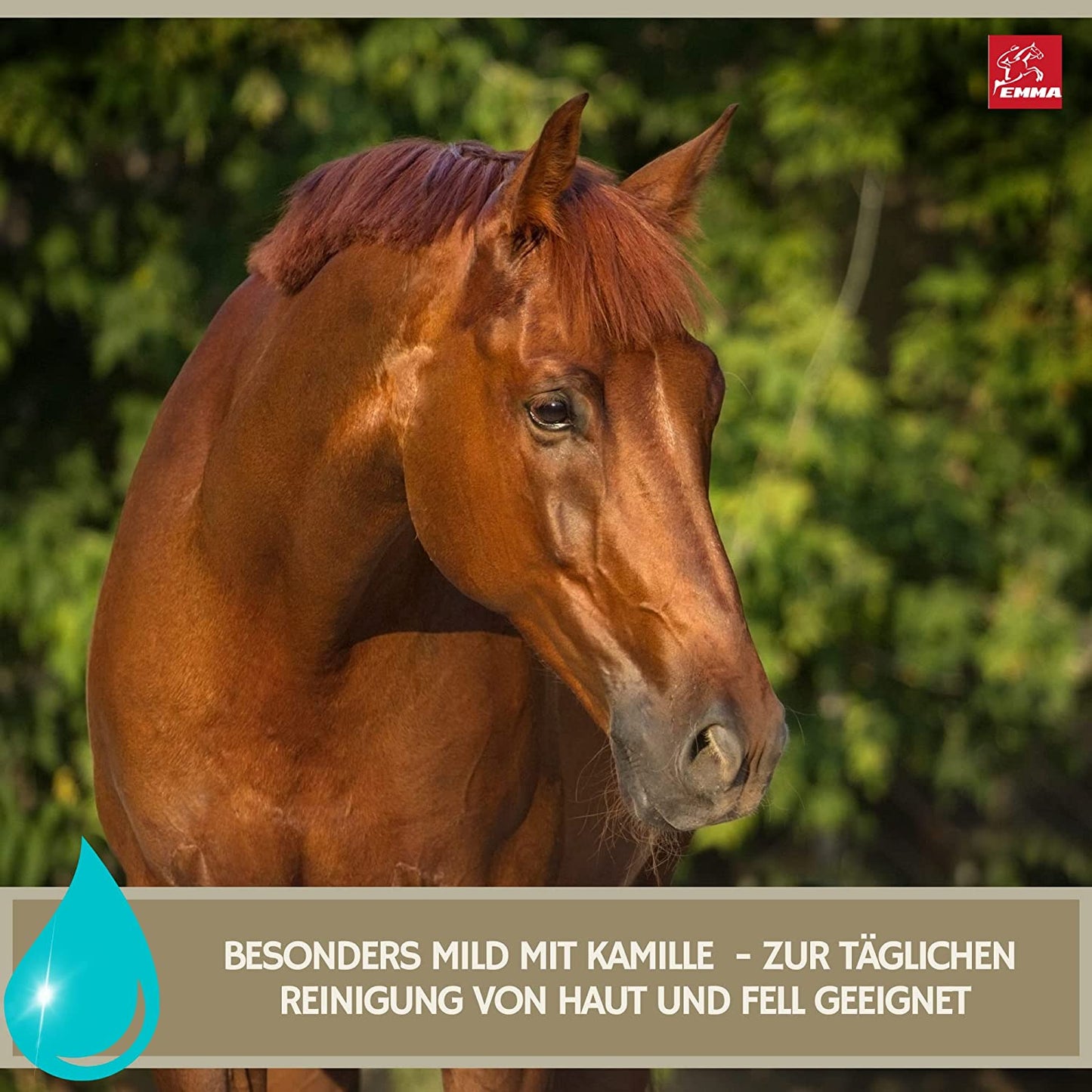 EMMA Pferdeshampoo I Pferde Shampoo Fell Mähne Schweif Pink & Duft I Glitzer Huffett für Pferde & Pony in Pink I Hufgel I Putzbox I Pferde-Pflege Zubehör I Pferdepflegeset für Kinde