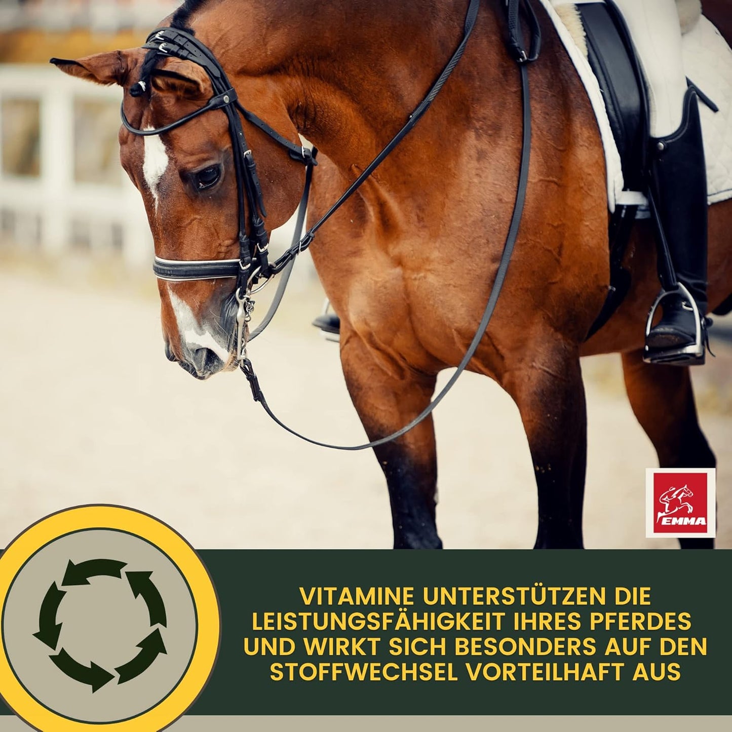 Vitamine für Pferde & Vitaminpaste