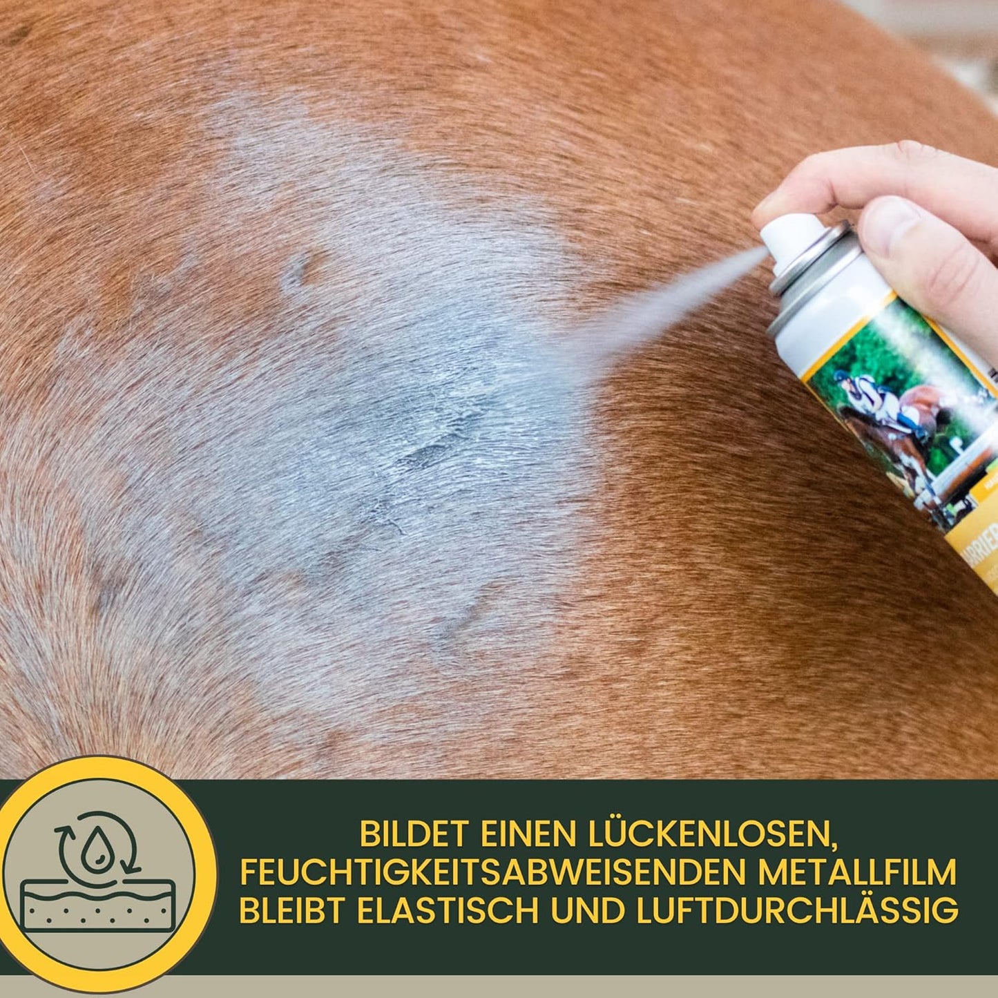 Silberspray für Tiere - Set