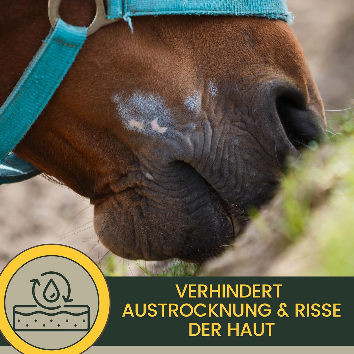 Zinksalbe für Tiere Set