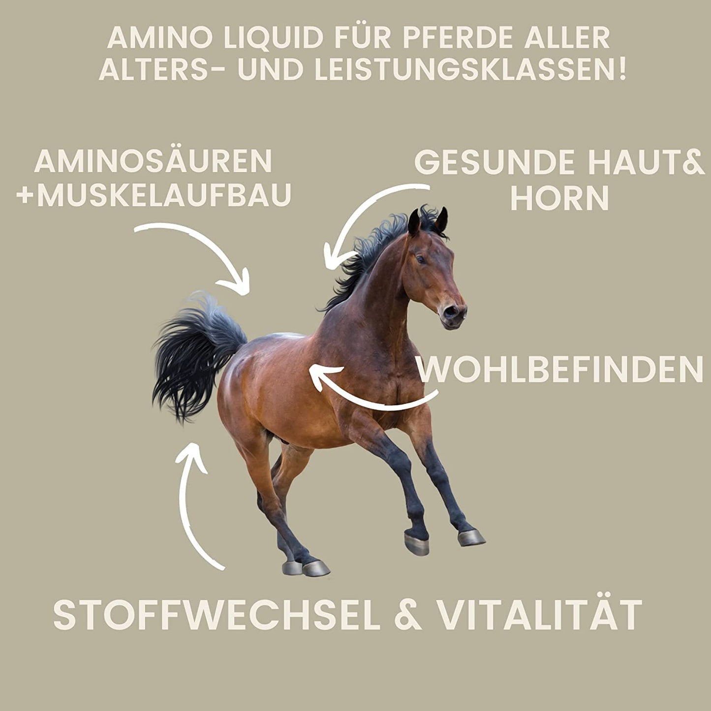 Aminosäure & Vitamin E für Pferde I Booster I Oralpaste 2St.