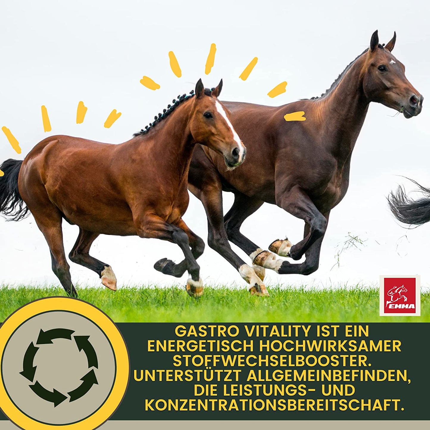 Gastro Booster fürs Pferd I Bierhefe + Vitamine prebiotisch 2 St.